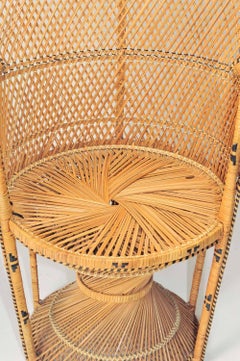 Iconic Emmanuelle Chair Midcentury, Rattan Peacock Chair