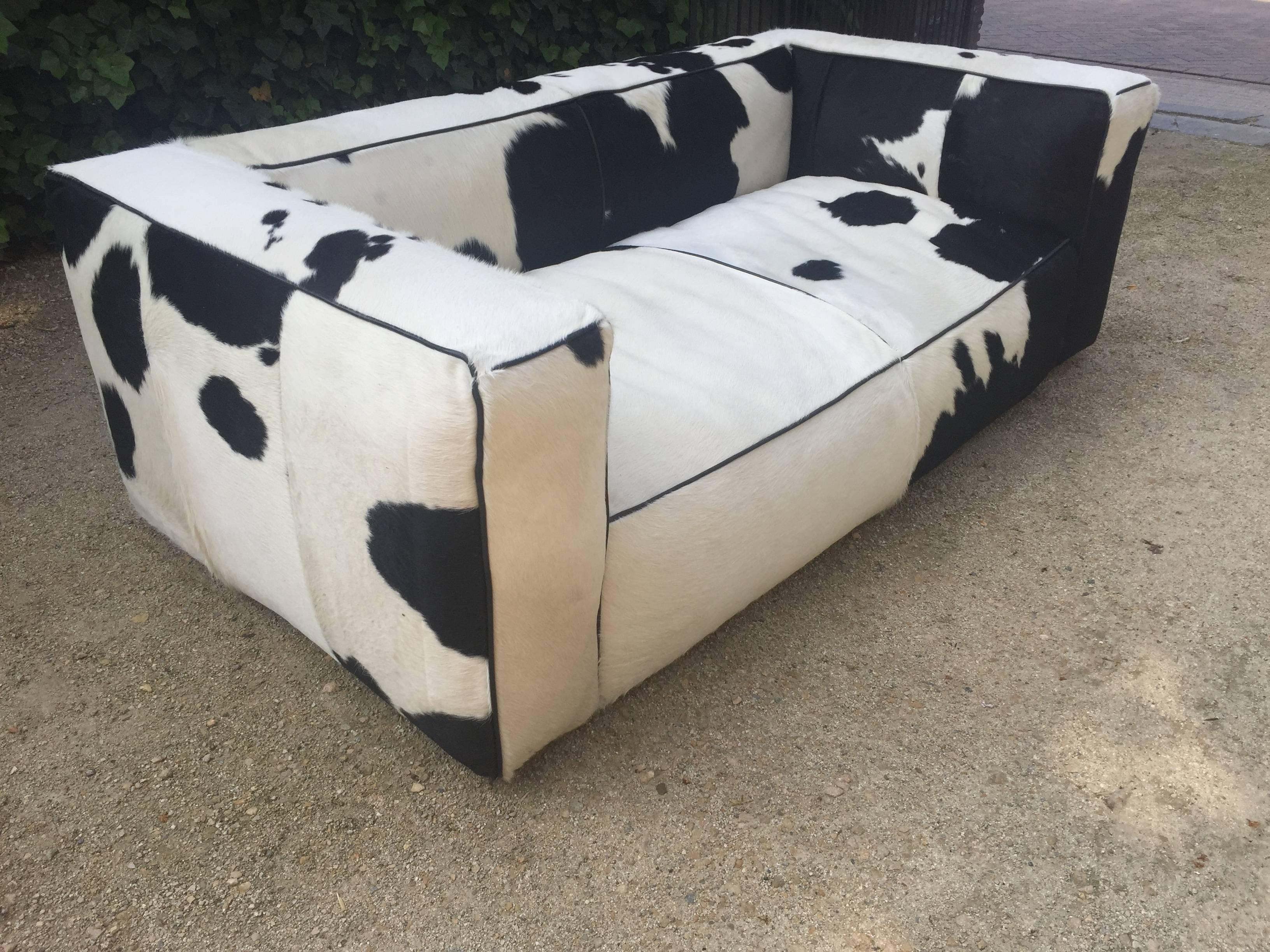 cow couch
