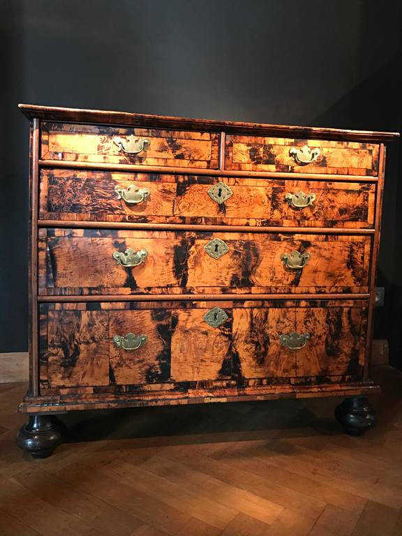 English 18th Century Chest of Drawers, Mulberry Wood at 1stDibs