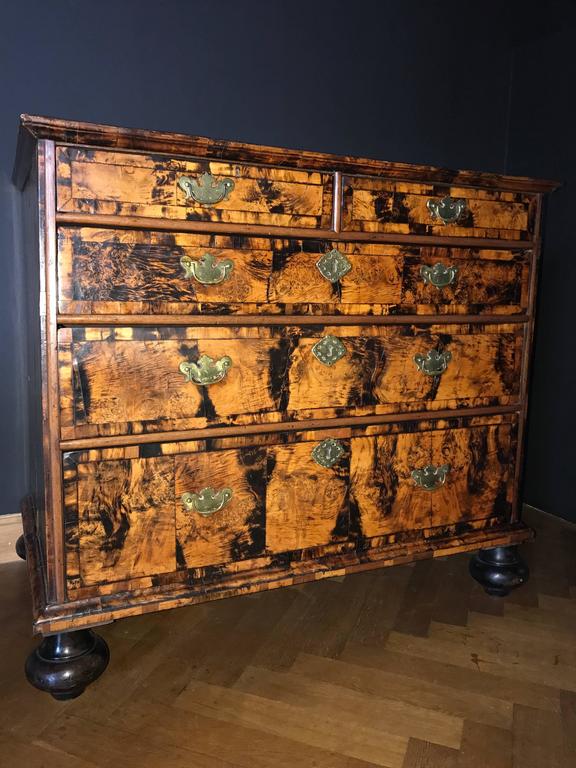 English 18th Century Chest of Drawers, Mulberry Wood at 1stDibs mulberry furniture, mulberry