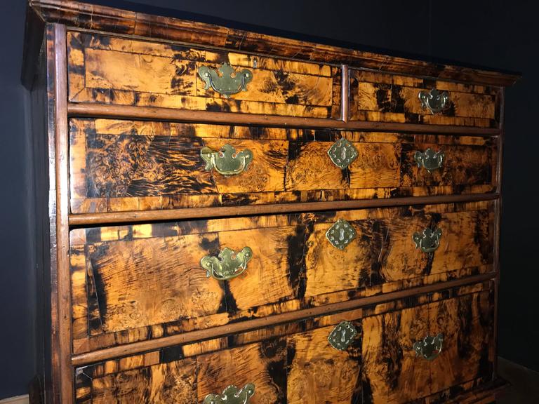 English 18th Century Chest of Drawers, Mulberry Wood at 1stDibs