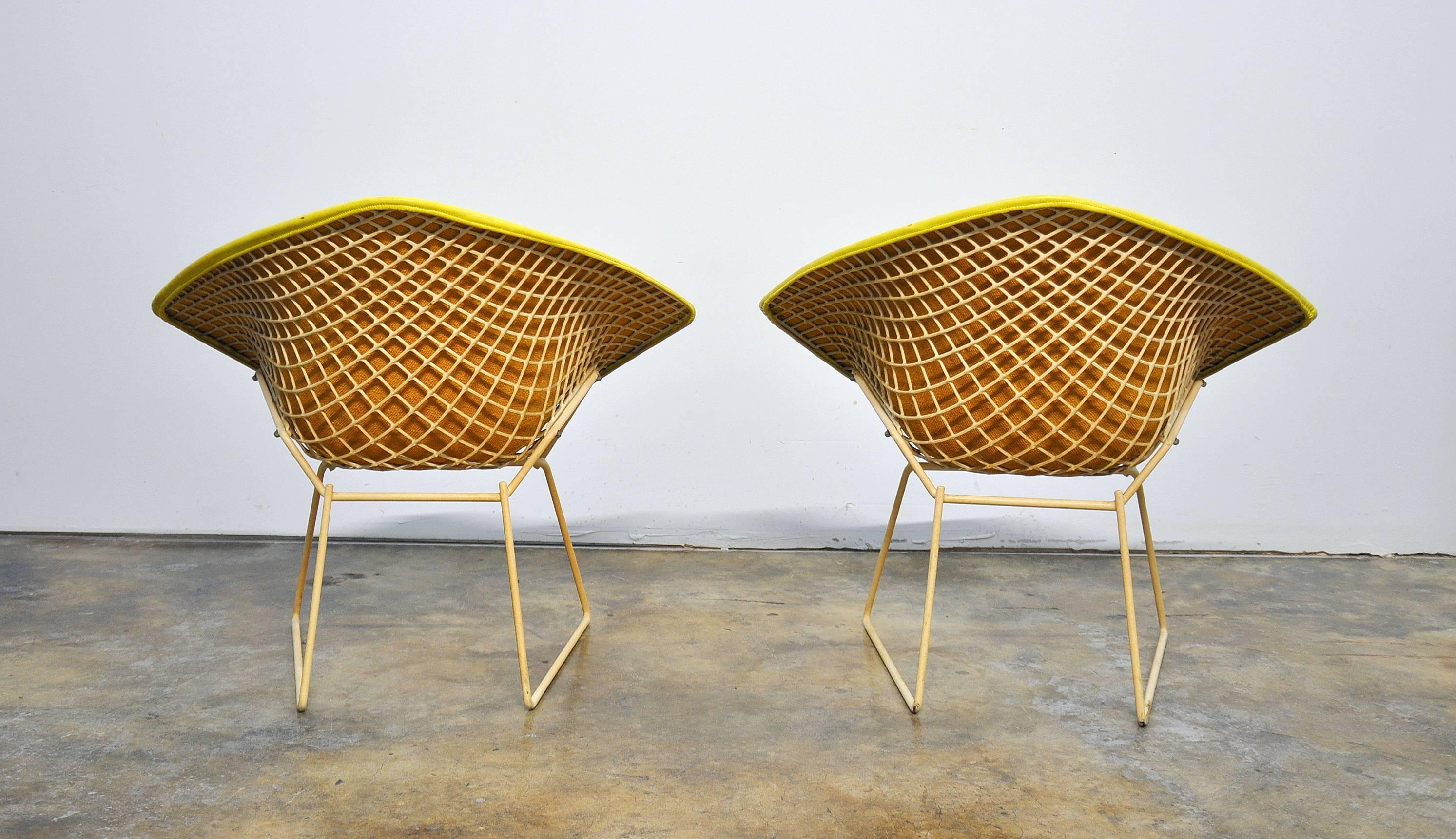 Powder-Coated Early Pair of Bertoia for Knoll Associates Yellow Diamond Lounge Chairs, 1960s