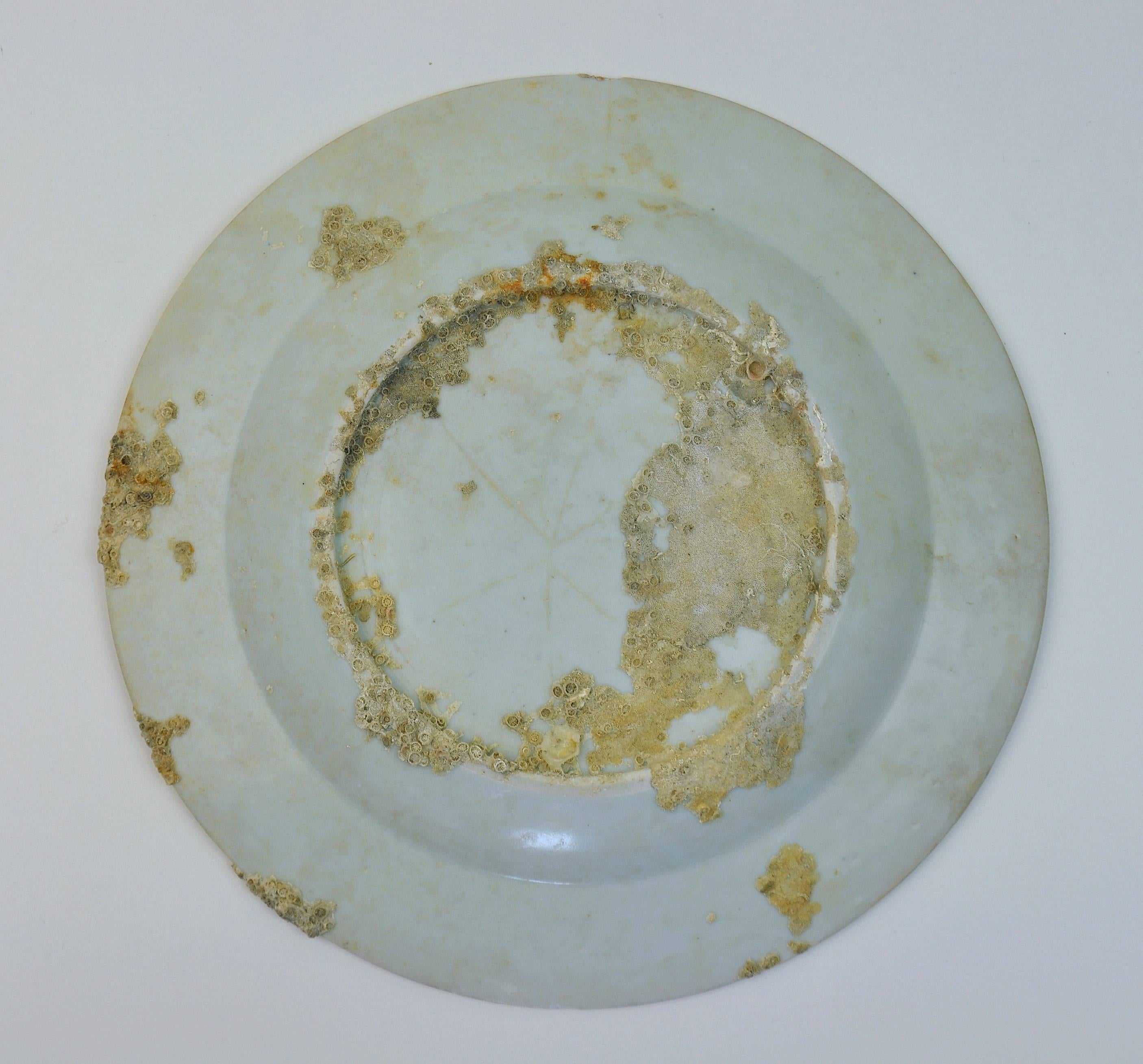Chinese Qing Blue and White Porcelain Plate from Nanking Cargo Shipwreck 3