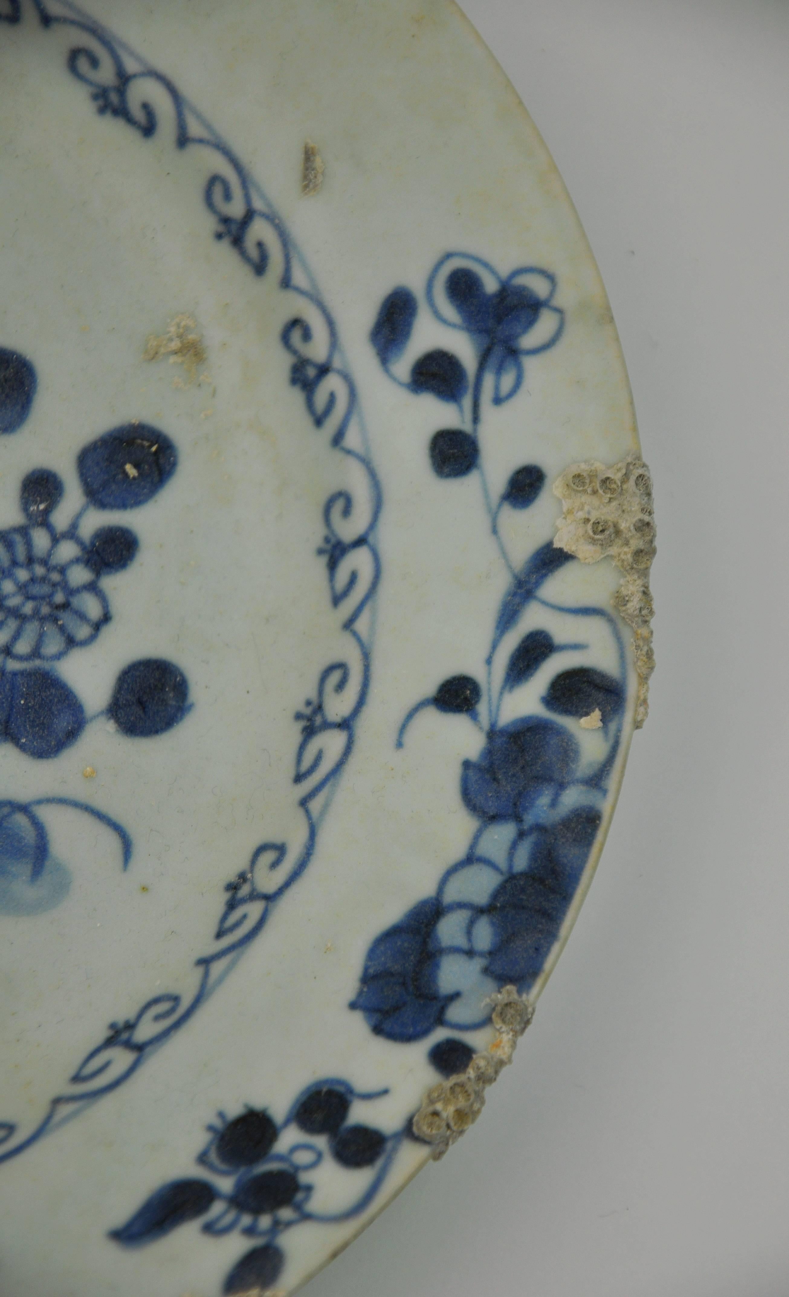 Hand-Painted Chinese Qing Blue and White Porcelain Plate from Nanking Cargo Shipwreck