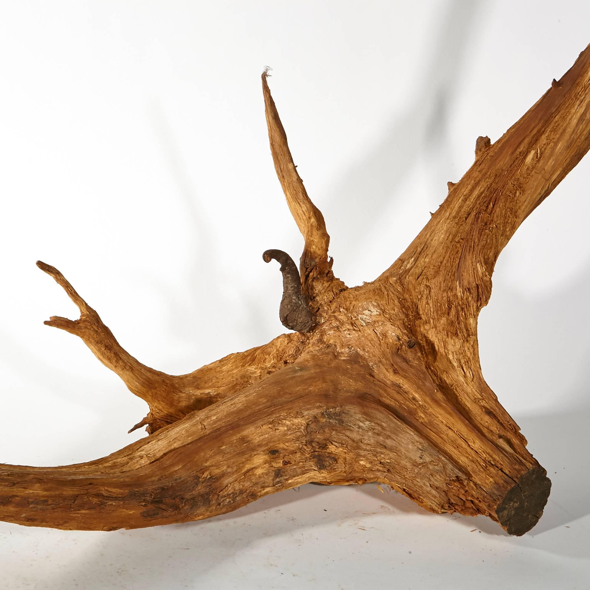 Vintage natural driftwood decorative accent. Includes hardware to hang on the wall.