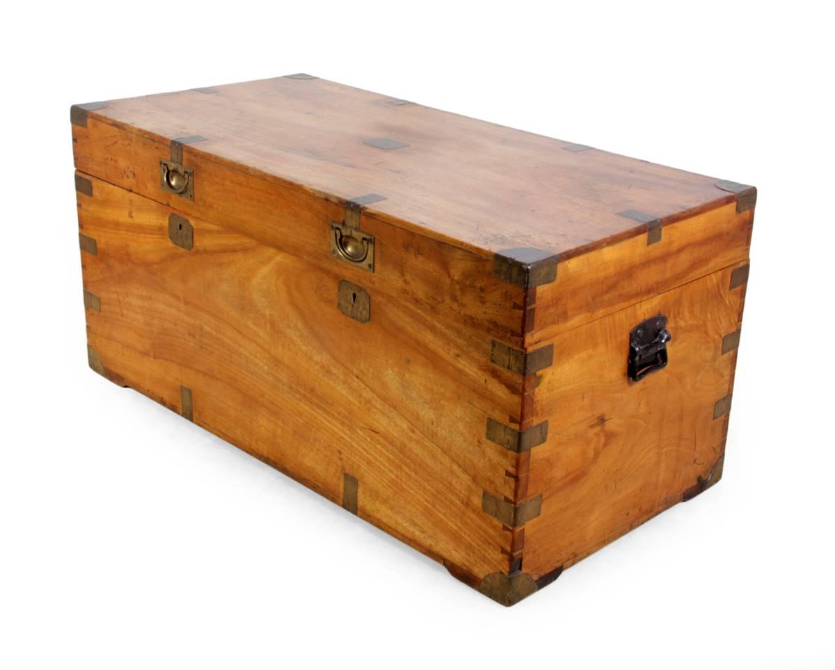 Camphor Wood Trunk, circa 1870 In Excellent Condition In Paddock Wood, Kent