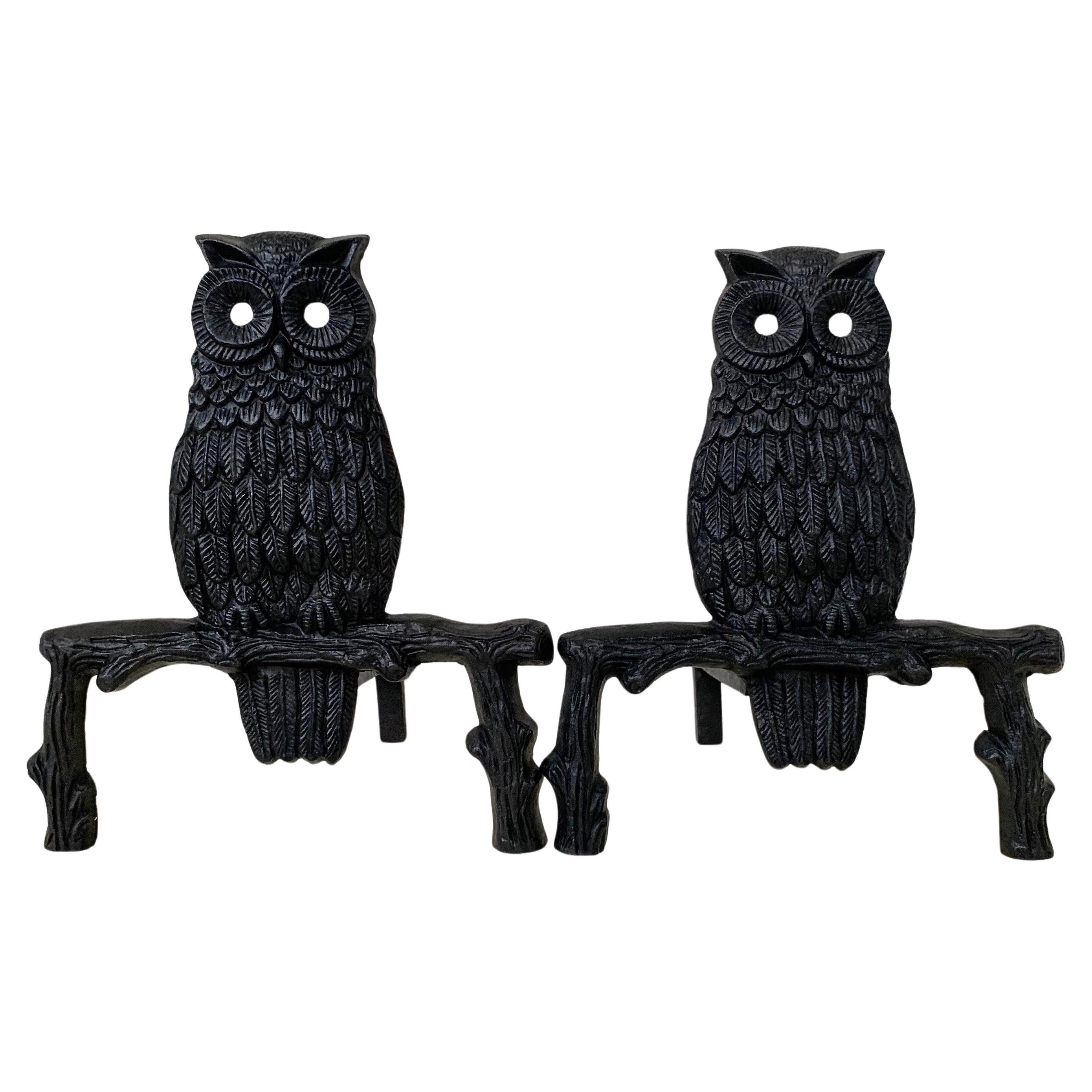 Mid-Century Owl  Cast Iron Andirons, circa 1970, France. For Sale
