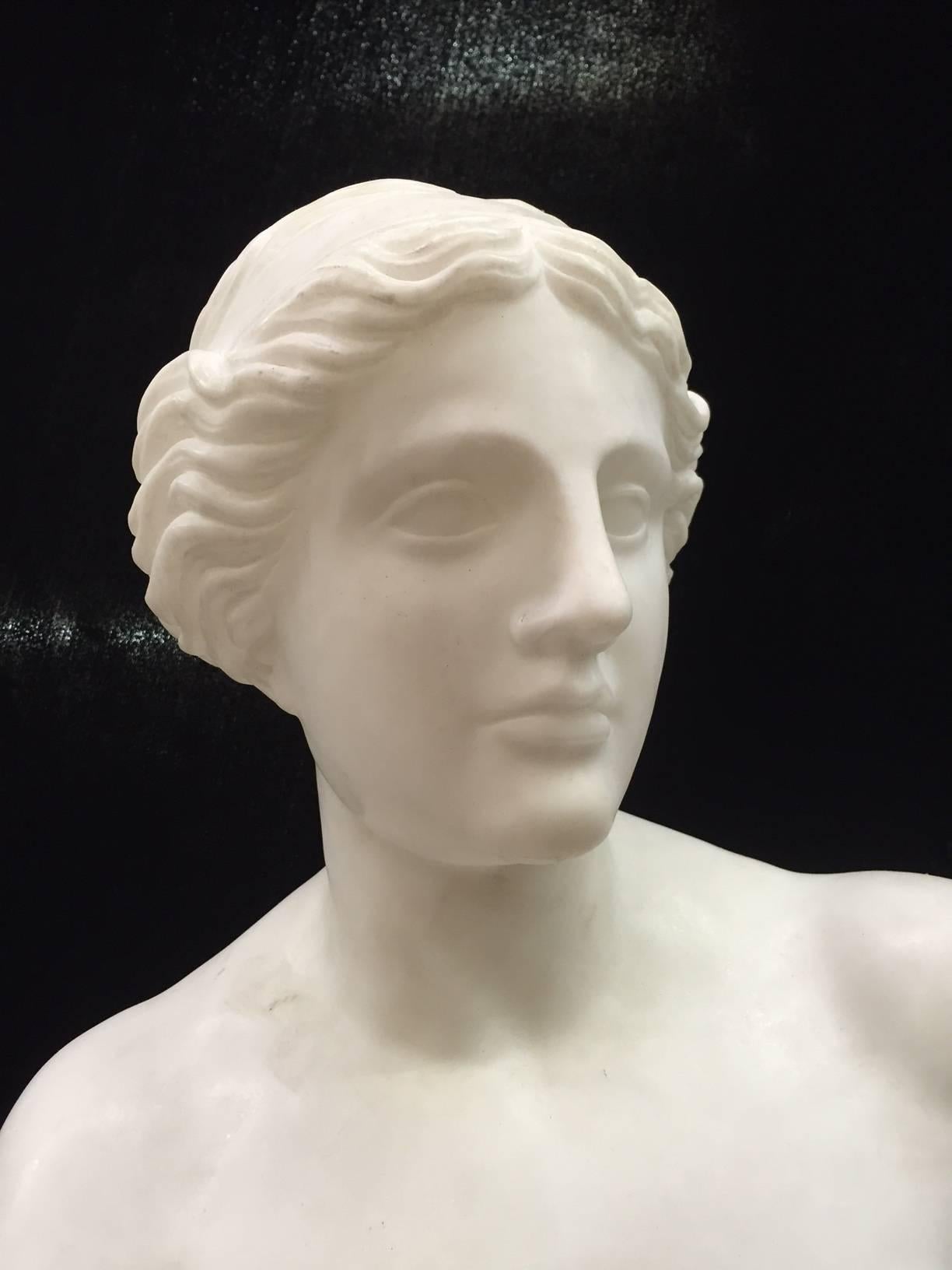 Italian Neoclassical Carved White Marble Statue of Venus, 19th Century 1