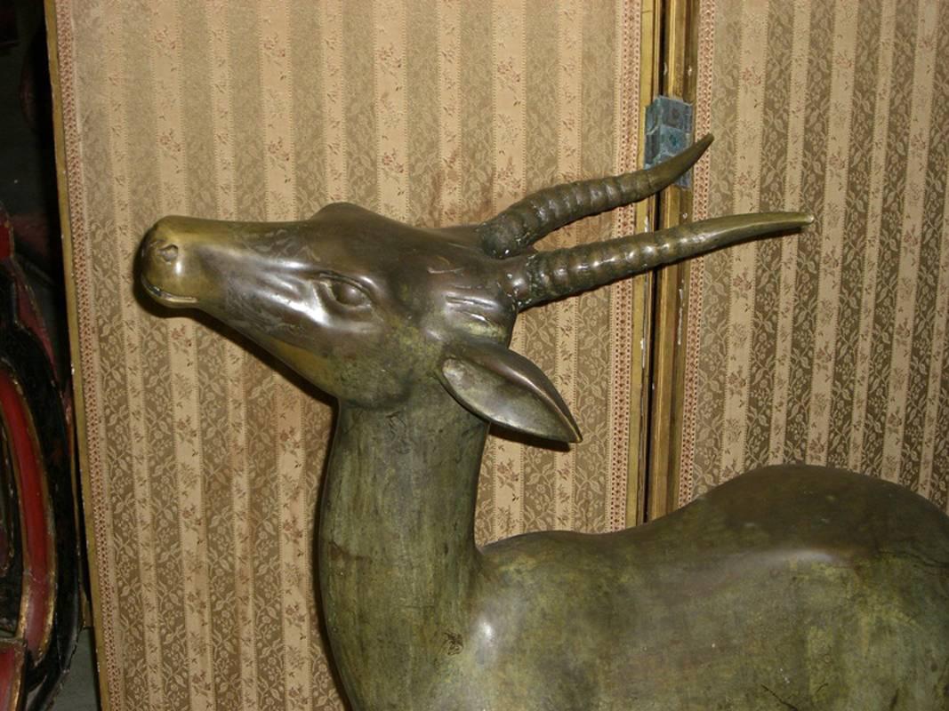Life size 19th century bronze deer sculpture with weathered patina, standing on a bronze base.