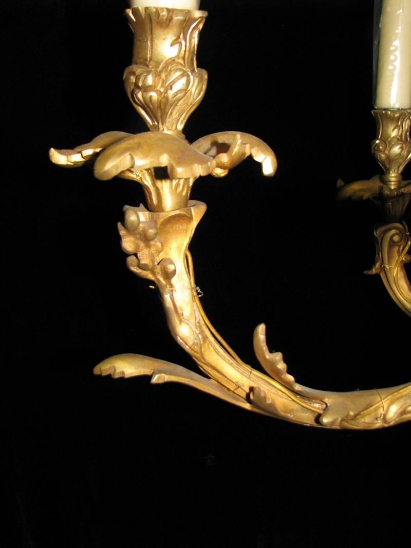 Pair of Louis XV Style Bronze Eighteen-Light Chandeliers 4