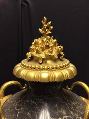Pair of Louis XVI Style Gilt Bronze-Mounted Marble Urns