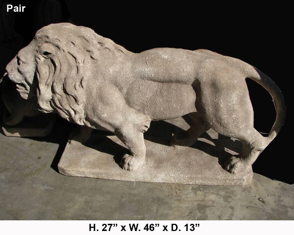Outstanding pair of Italian cast stone lions in walking position on a solid base of stone. The opposing lions have very detailed life-like features. 


         