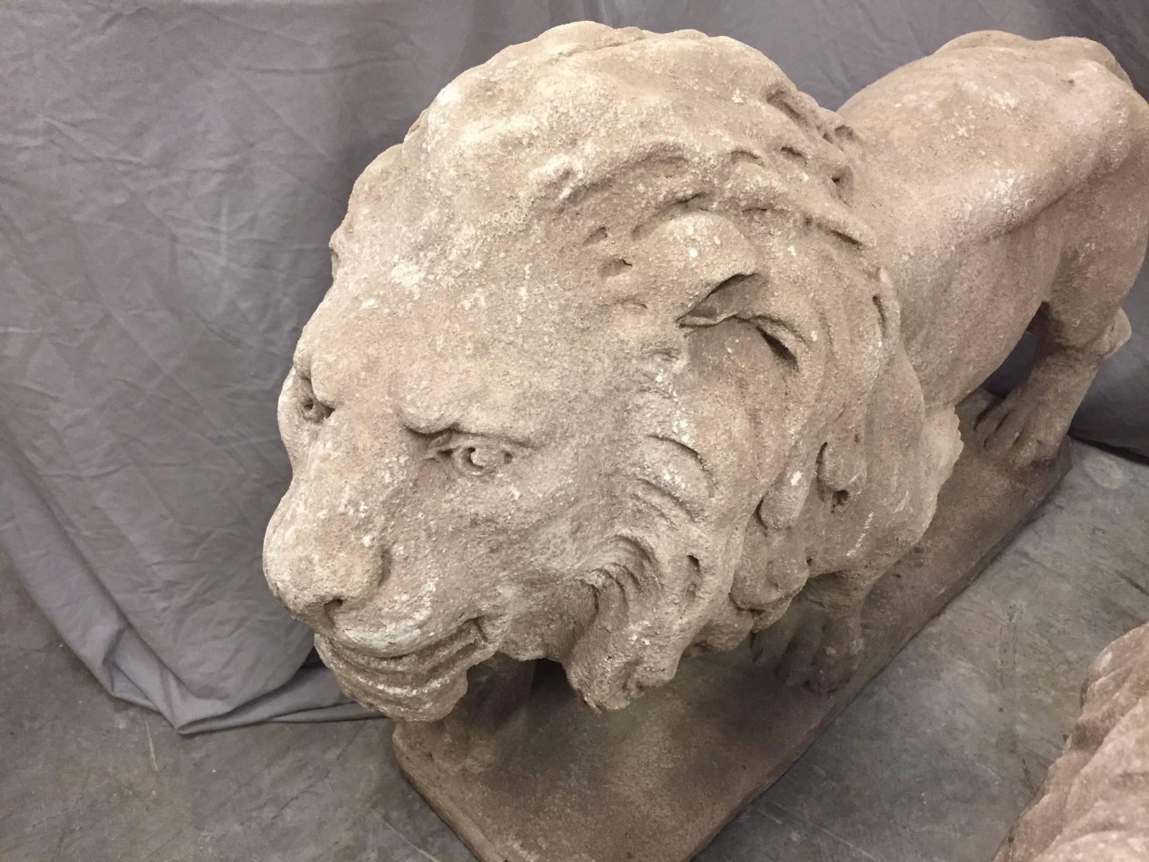 Pair of Italian Cast Stone Standing Lions 2