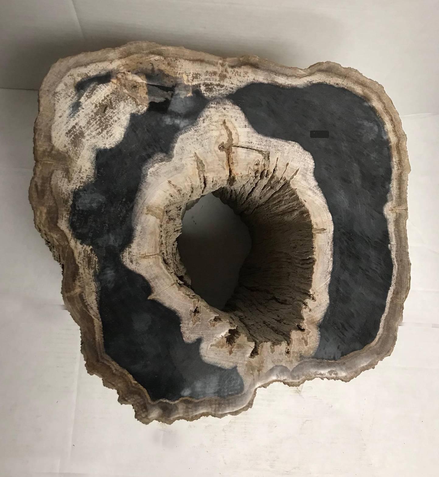 This petrified wood side table is left unpolished or raw on the sides and polished on the top in contrast. It also has a unique hole all the way through so you can see the amazing inside.
Perfect as a cocktail table or side table
Petrified wood is