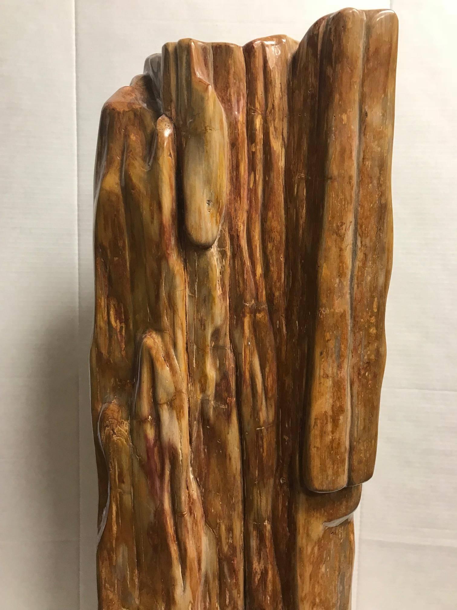 This unique large polished petrified wood specimen is appreciated for it's natural beauty and is extremely versatile. This interesting piece can be used as a wall ornament or decoration.
Over time, the petrified wood becomes so sturdy and dense