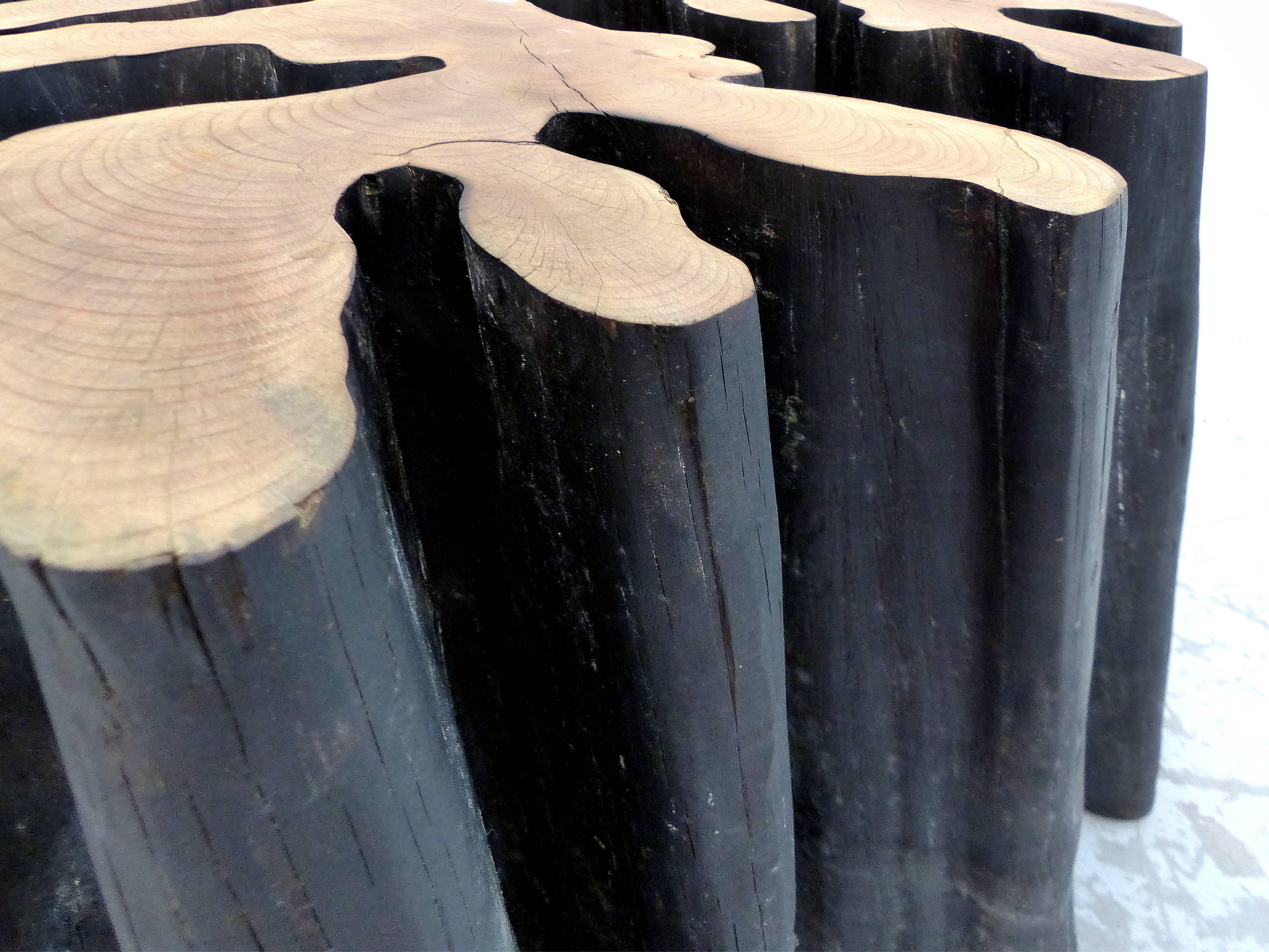 Organic Modern Guaranta Wood Table Base from the Brazilian Amazon by Artist Valeria Totti