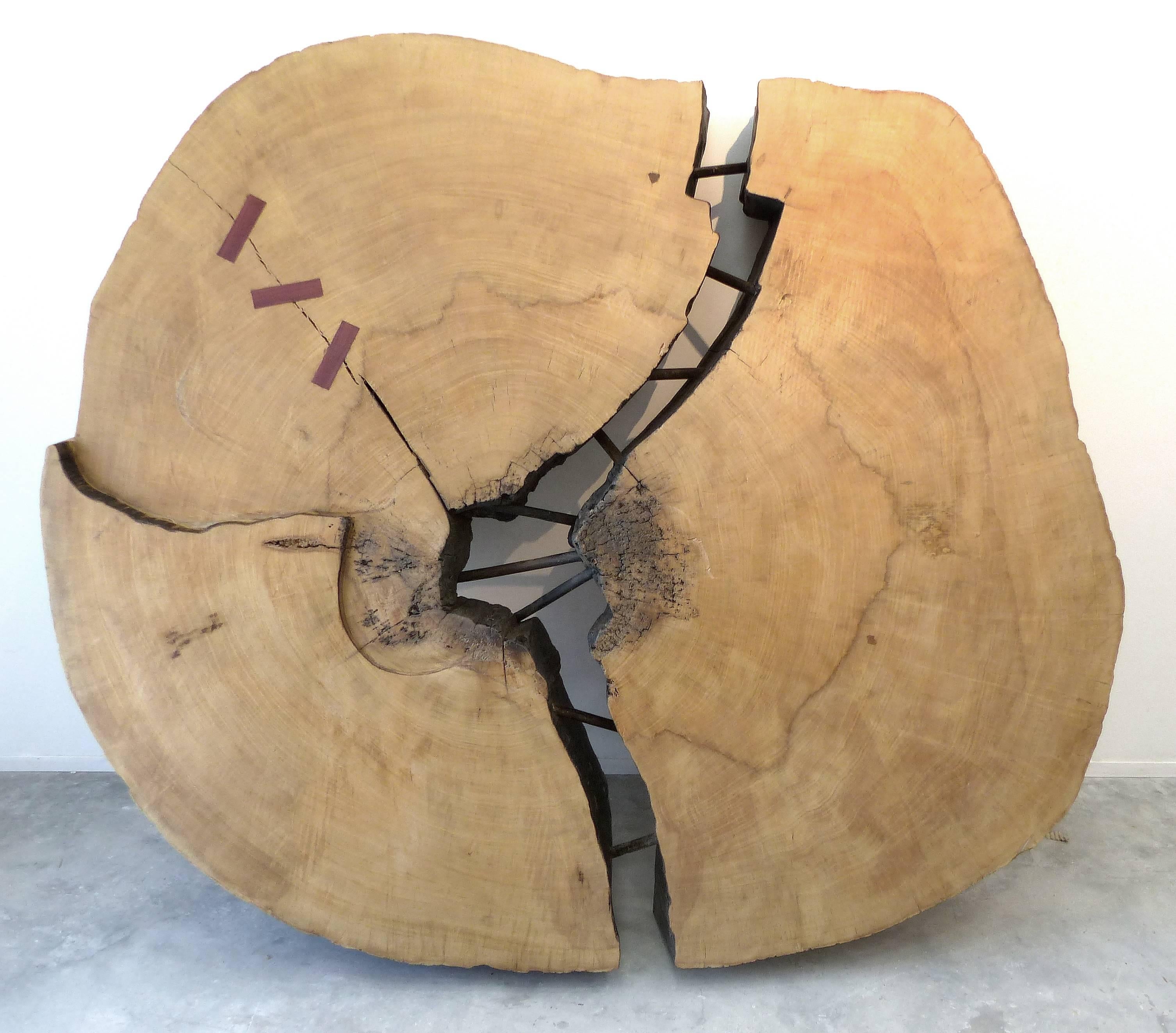 Monumental Brazilian Amazon Mirindiba Wood Tree Trunk 2016 Sculpture Table Base

Designed by Brazilian artist Valeria Totti, this monumental 1000 year old tree trunk of solid mirindiba wood was salvaged from the Brazilian Amazon. Joined with dowels