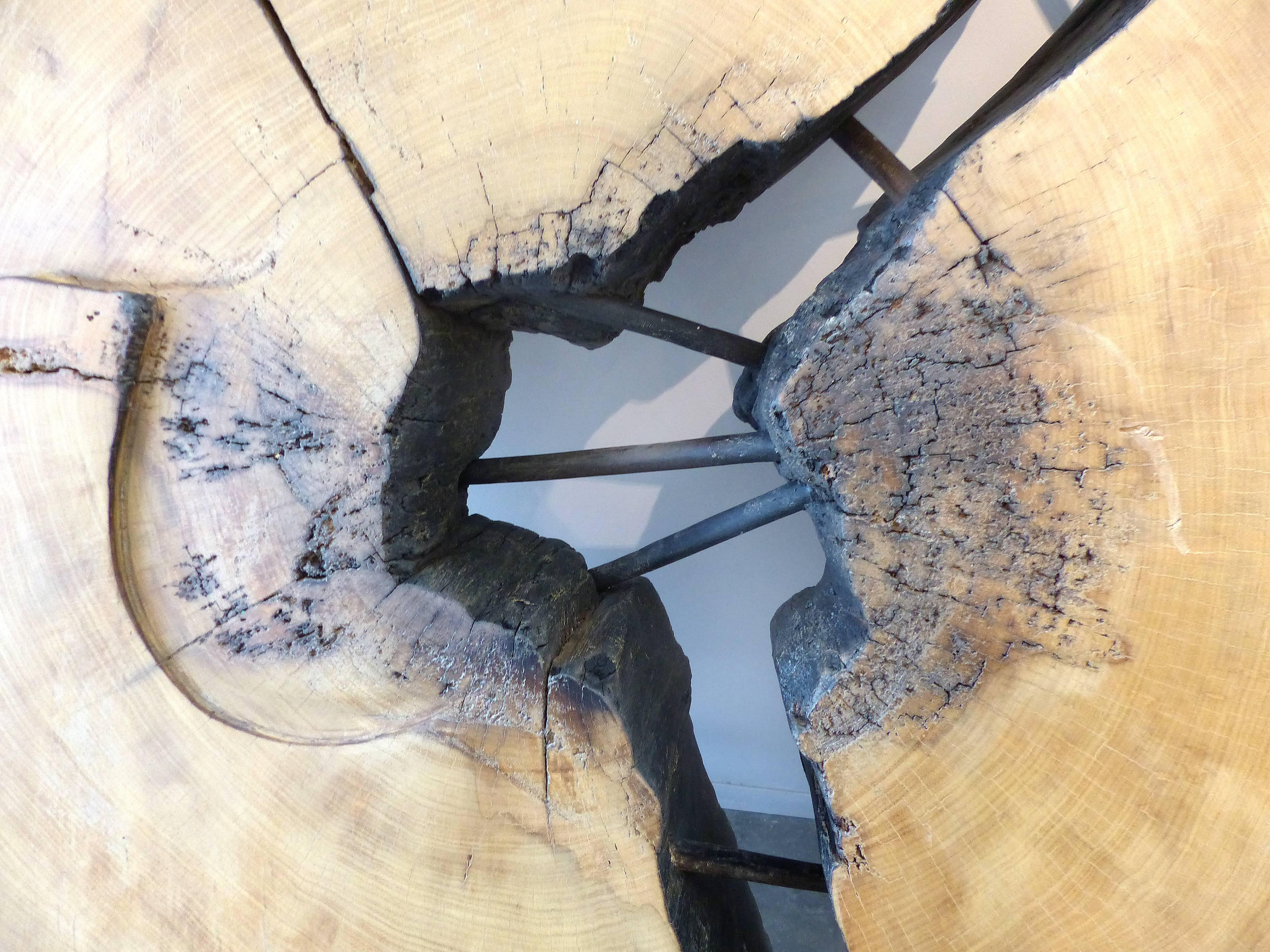 Organic Modern Monumental Brazilian Amazon Mirindiba Wood Tree Trunk 2016 Sculpture Table Base