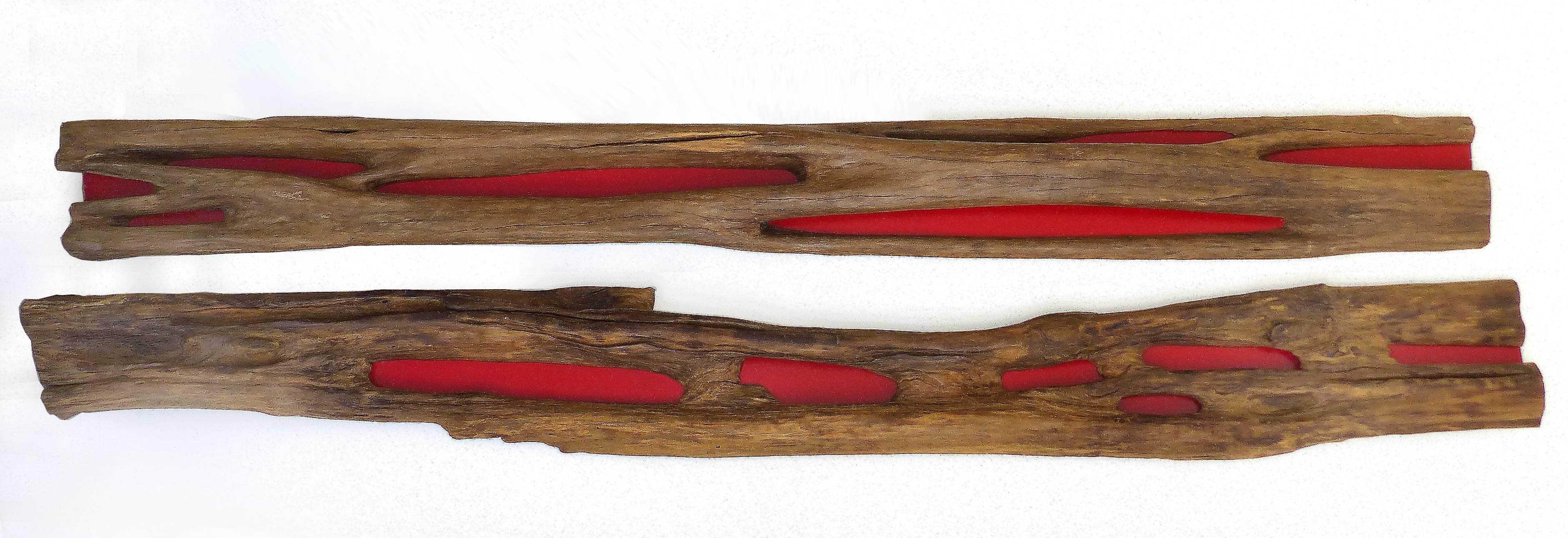 Pair of Reclaimed Wood Log Sculptures by Valeria Totti

Offered are a pair of panels that could flank either side of a doorway or be mounted vertically as wall sculptures. These are made of reclaimed wood called Acariquara from the Brazilian Amazon.