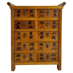 Cabinet d'apothicaire chinois vintage, peint en calligraphie, 10 tiroirs