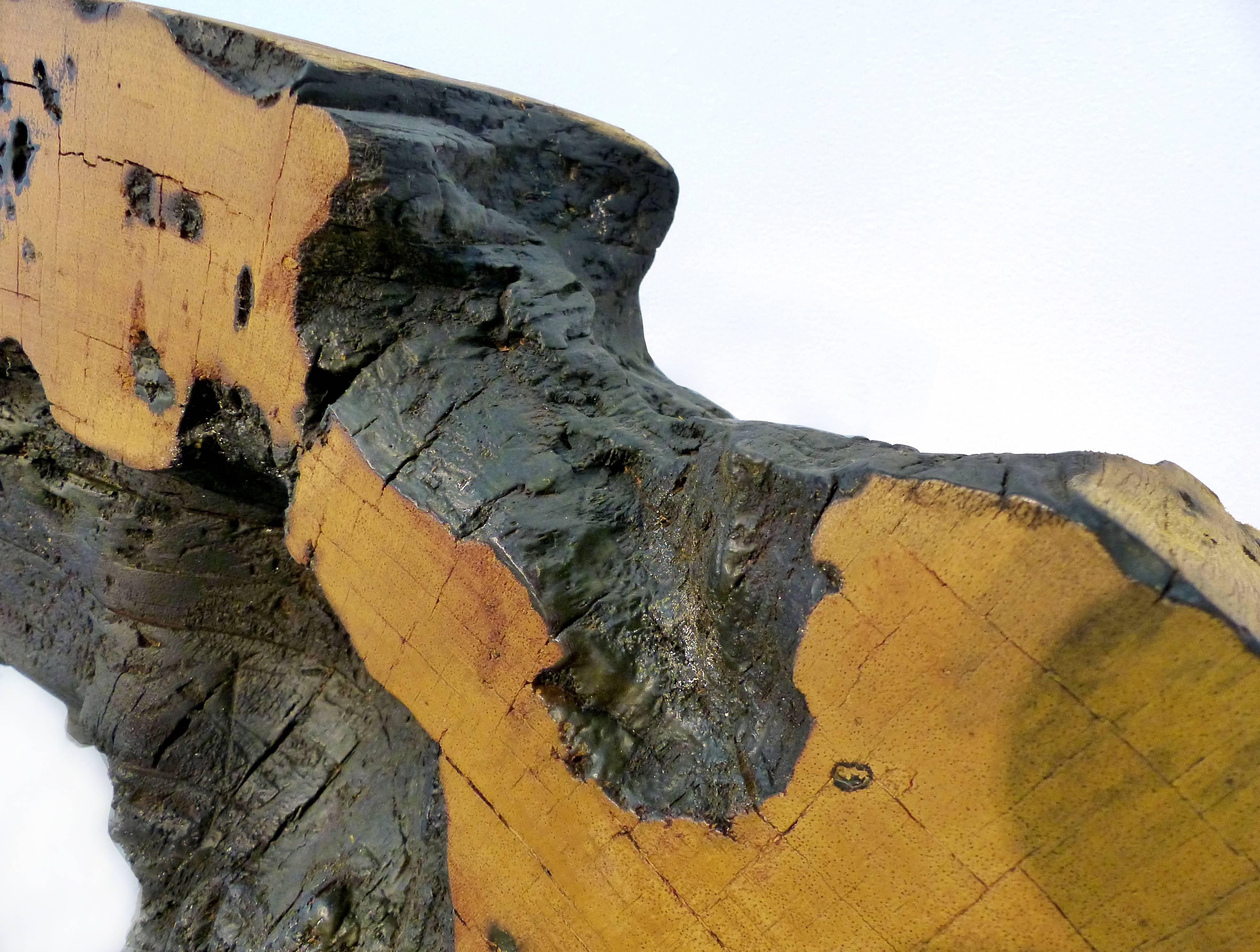 Organic Modern Monumental Amazon Kapok Tree Reclaimed Wood Sculpture by Artist Valeria Totti