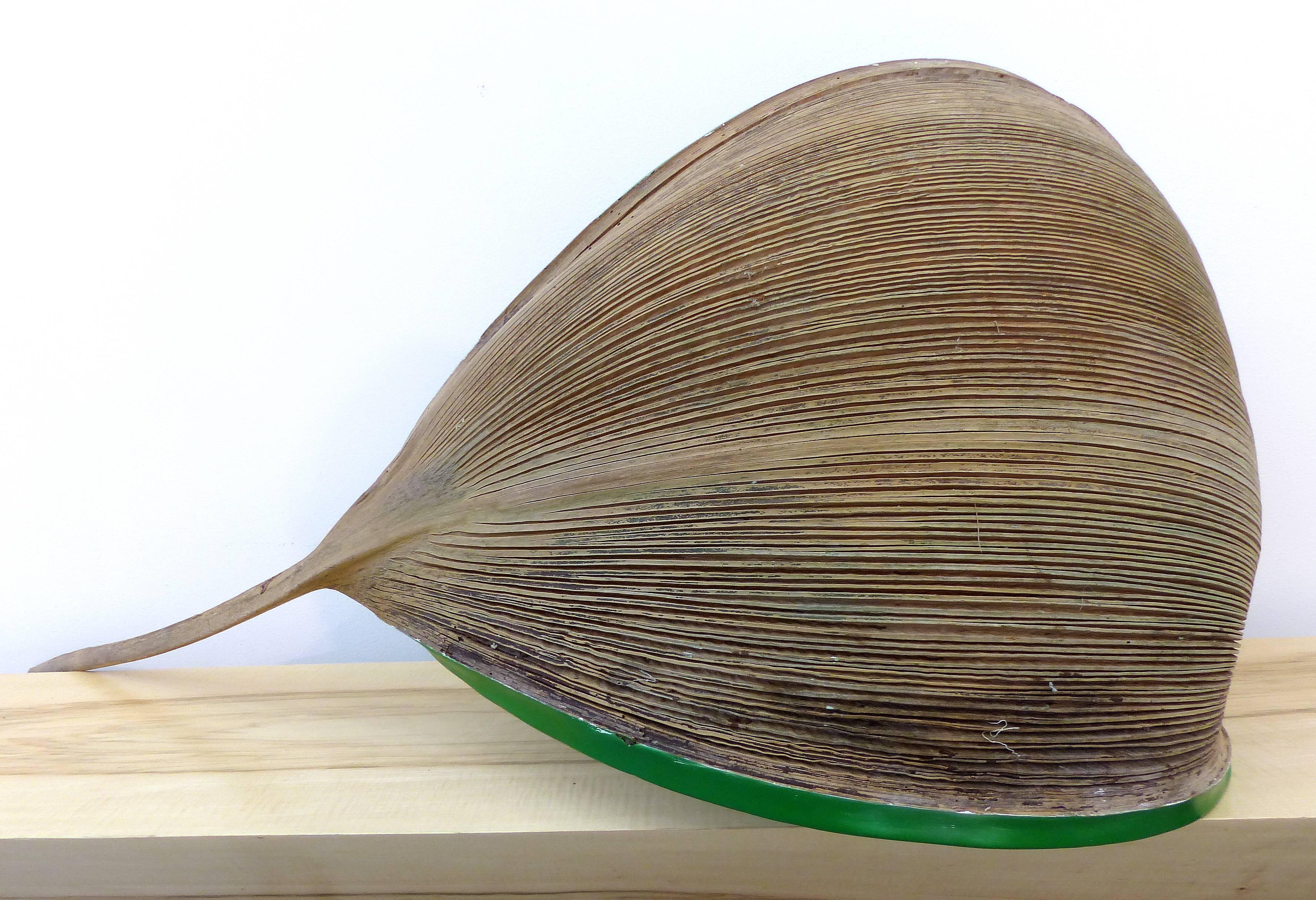 Brazilian Amazon Coconut Palm Frond Sculptural Bowl by Valeria Totti 3