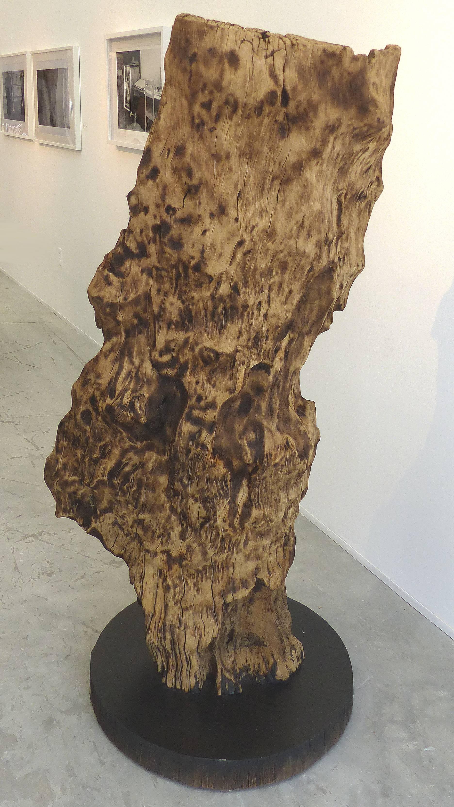 Monumental Reclaimed Wood Sculpture from the Brazilian Amazon by Valeria Totti 3
