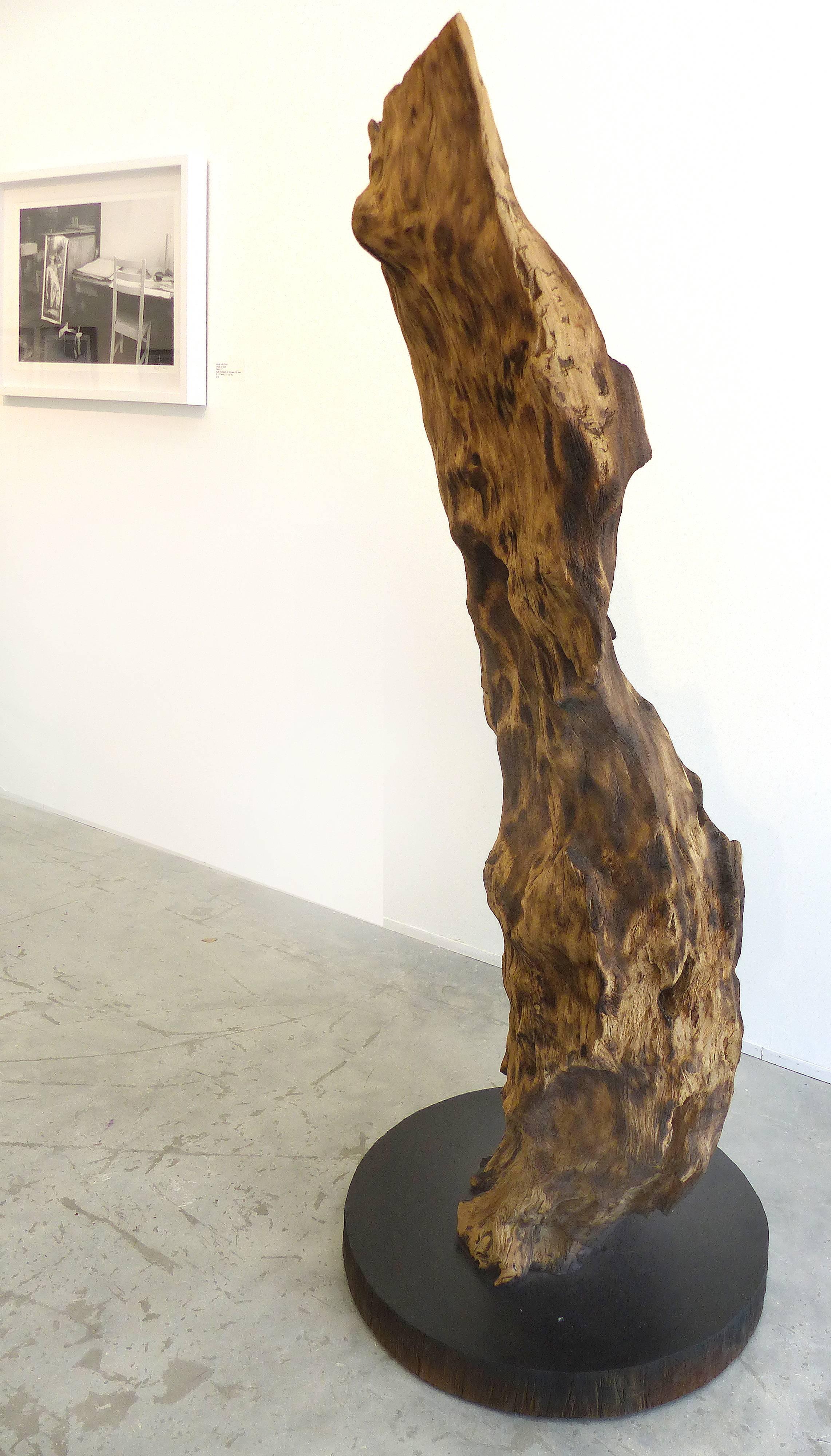 Monumental Reclaimed Wood Sculpture from the Brazilian Amazon by Valeria Totti 1