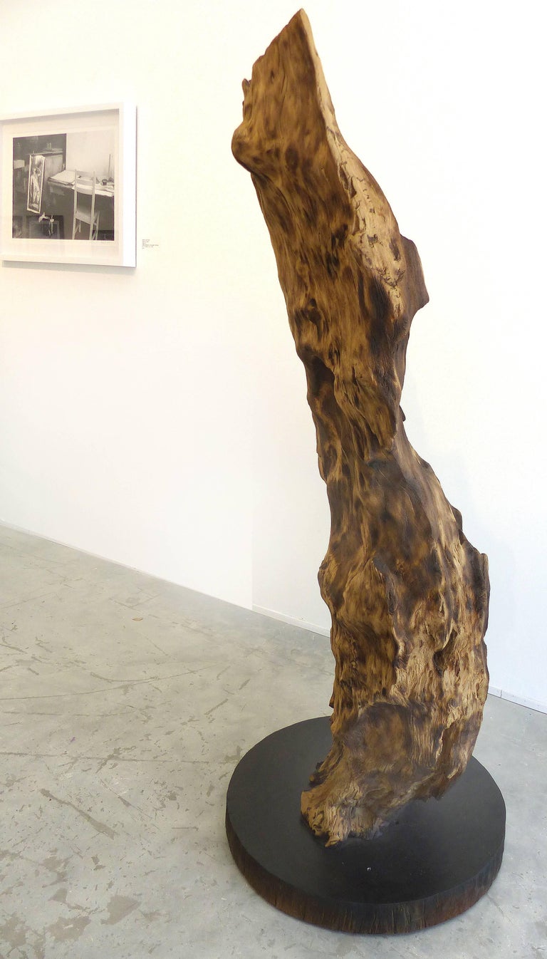 Monumental Reclaimed Wood Sculpture from the Brazilian Amazon by