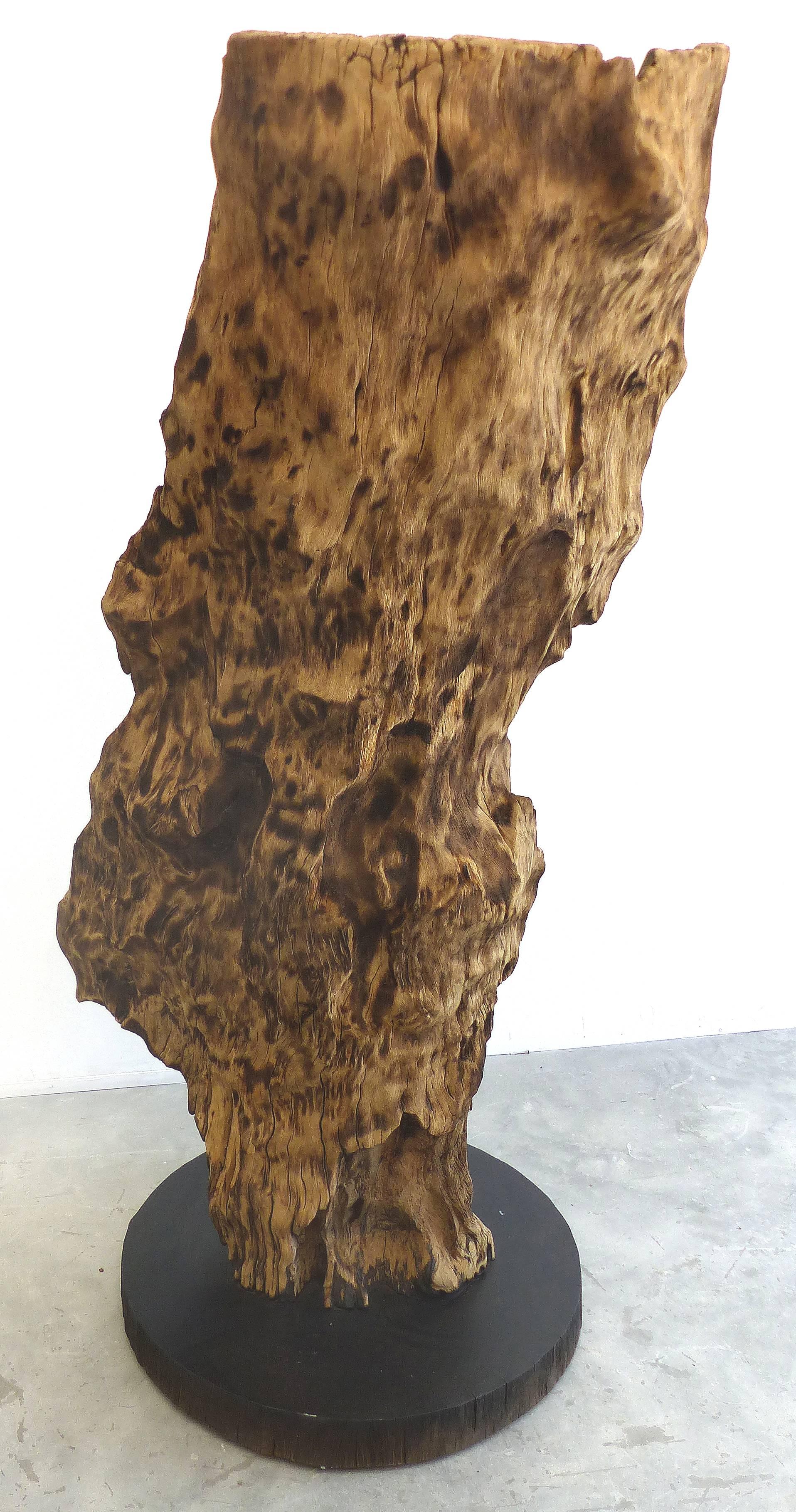 Monumental Reclaimed Wood Sculpture from the Brazilian Amazon by Valeria Totti

A monumental reclaimed wood organic sculpture salvaged from Amazonian forest fires and is presented on an Ipe wood base. Found in the Amazon by artist Valeria Totti who