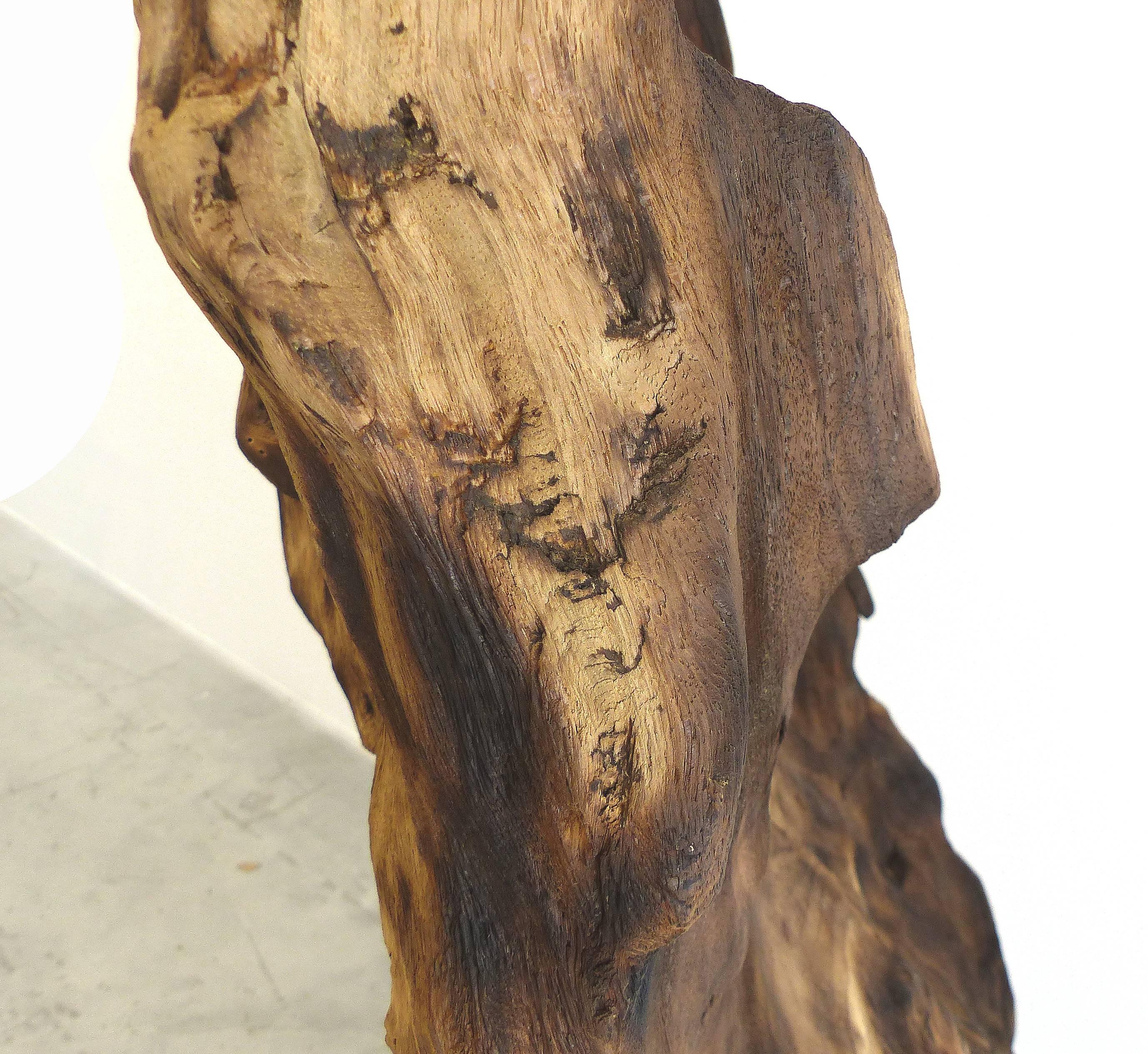 Monumental Reclaimed Wood Sculpture from the Brazilian Amazon by Valeria Totti 2