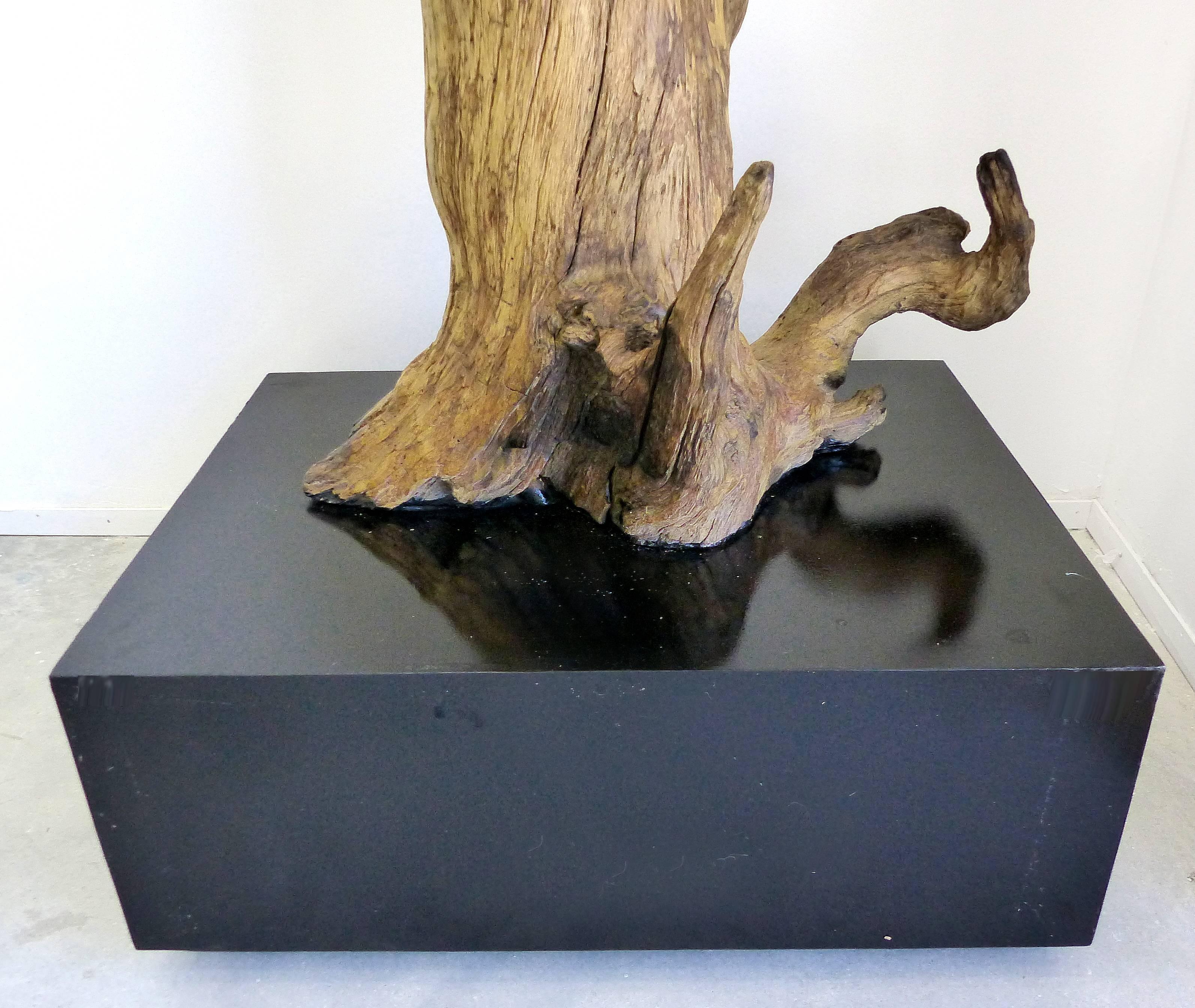 Petrified Amazon Wood Sculpture by Contemporary Brazilian Artist Valeria Totti 1