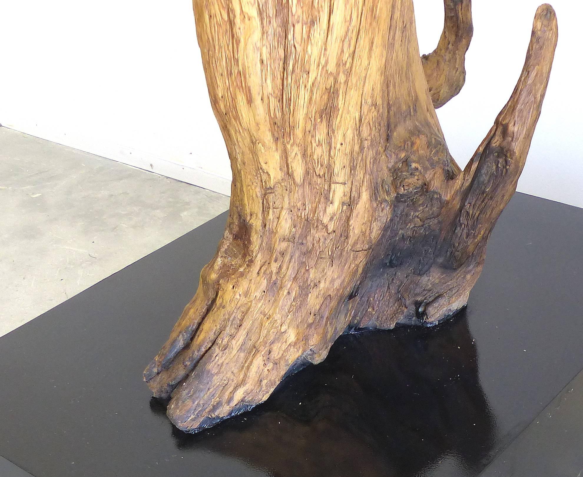 Petrified Amazon Wood Sculpture by Contemporary Brazilian Artist Valeria Totti 2