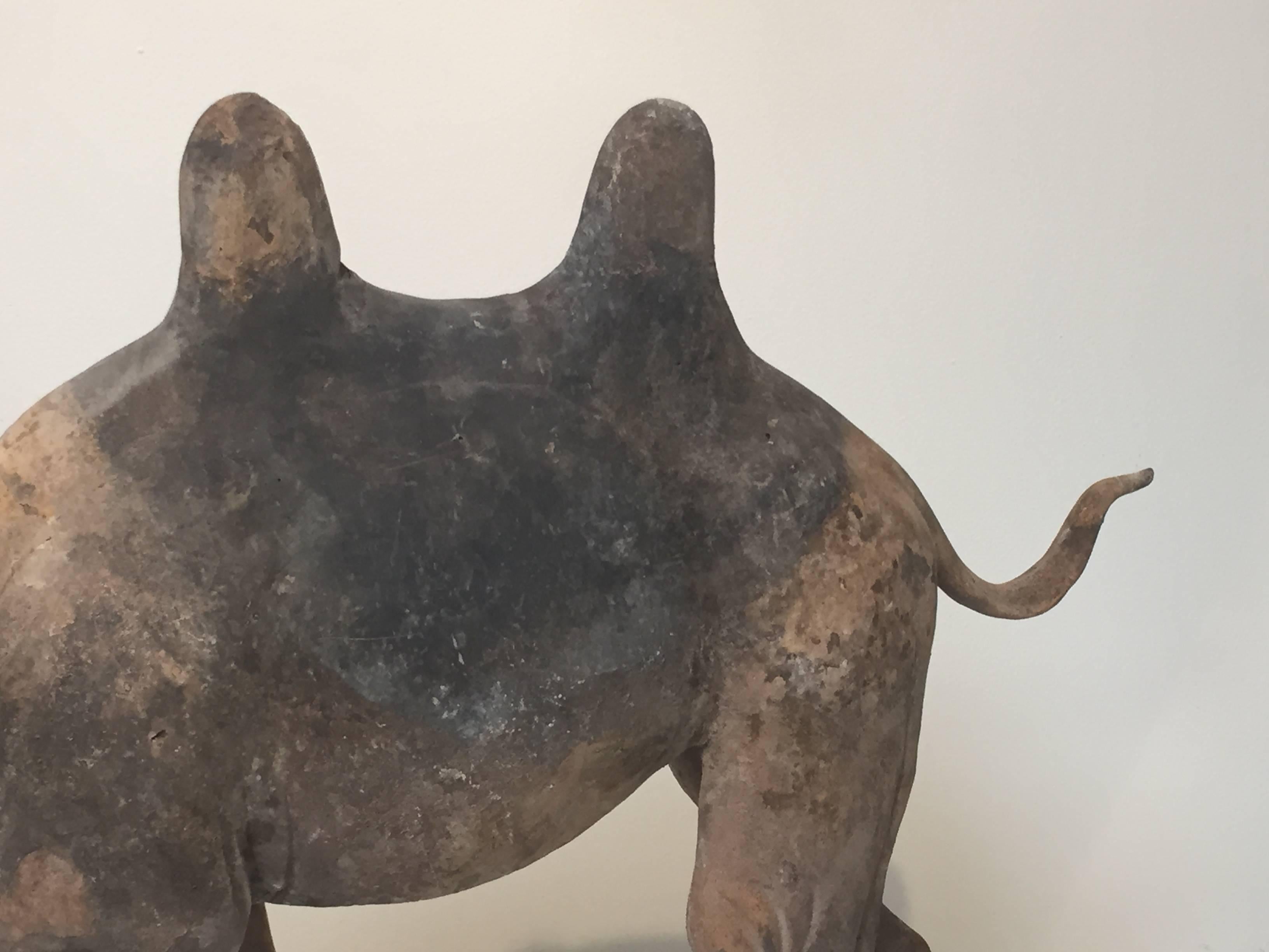 7th Century Early Tang Dynasty Camel with Two-Piece Saddle For Sale 5