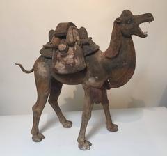7th Century Early Tang Dynasty Camel with Two-Piece Saddle