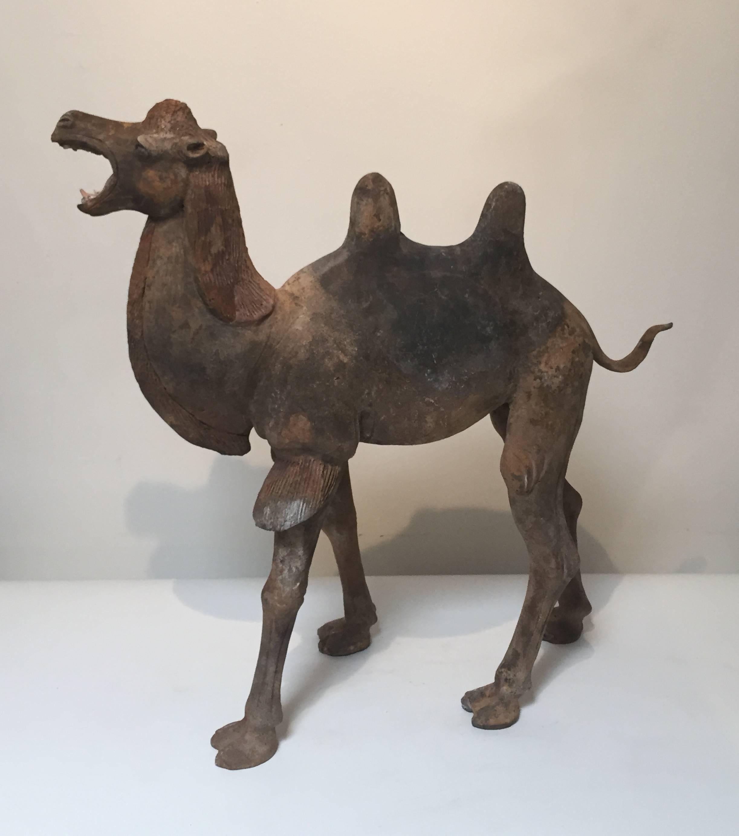 Chinese 7th Century Early Tang Dynasty Camel with Two-Piece Saddle For Sale