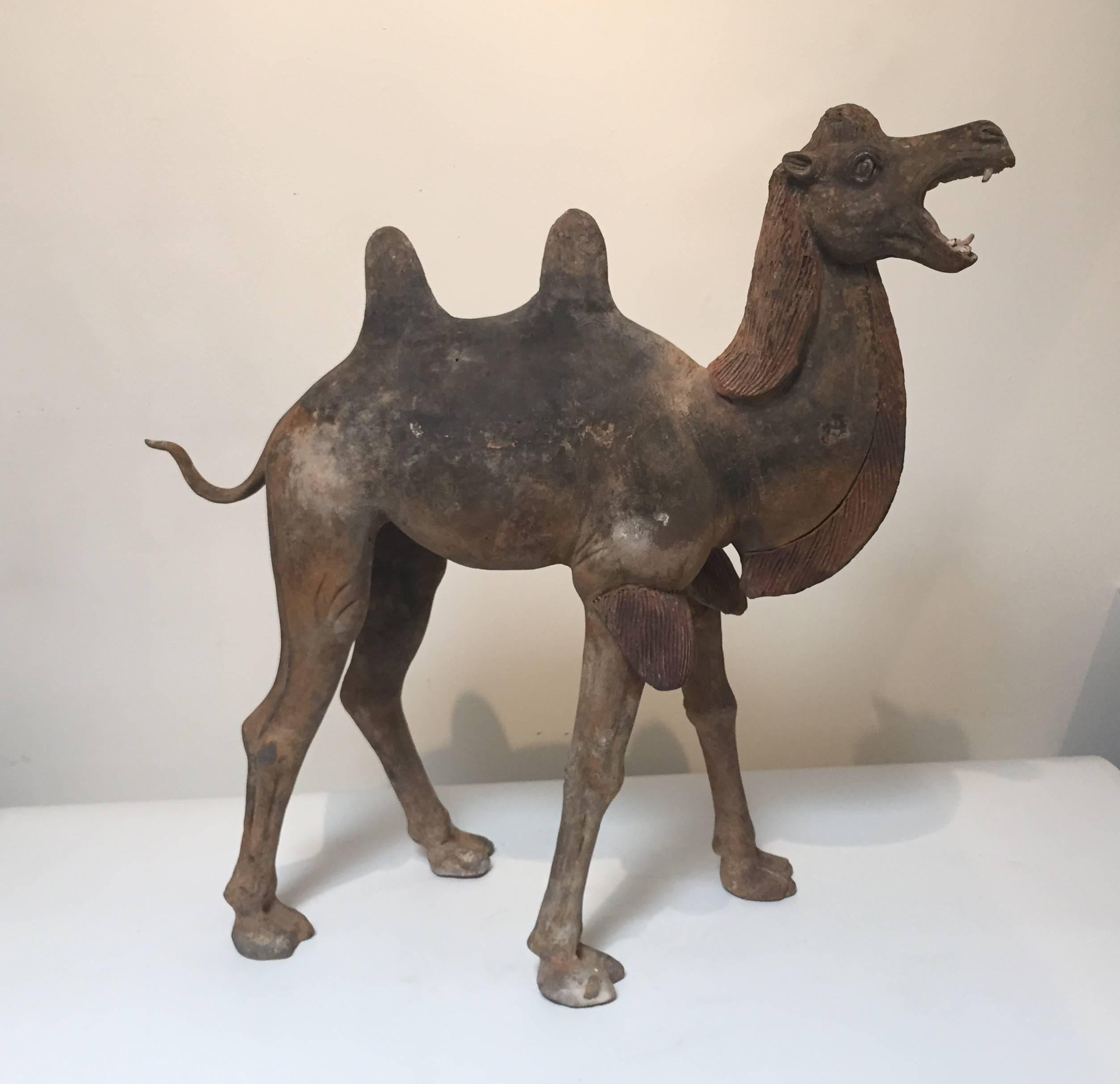 7th Century Early Tang Dynasty Camel with Two-Piece Saddle For Sale 3