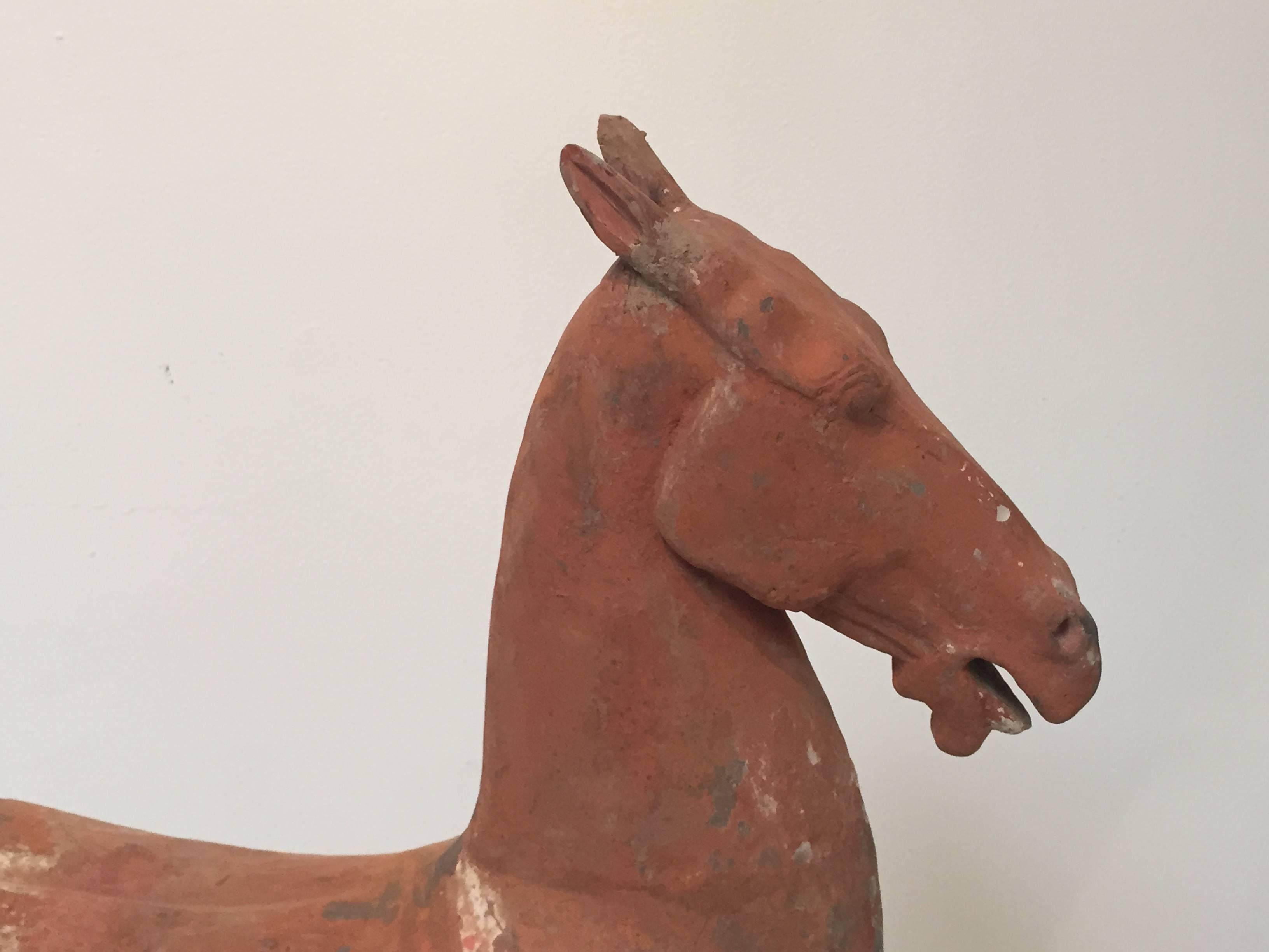 Ancient Han Dynasty Horse with Pigments In Good Condition For Sale In Los Angeles, CA