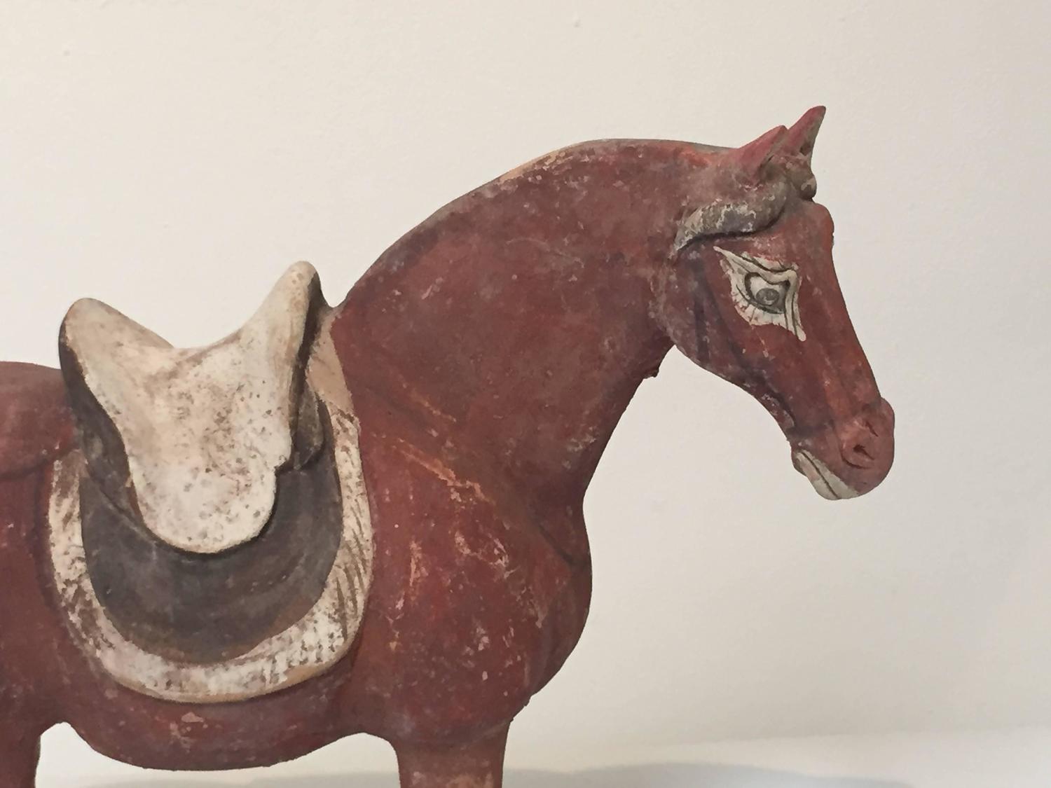 8th Century Tang Dynasty Horse with Pigments For Sale at 1stdibs