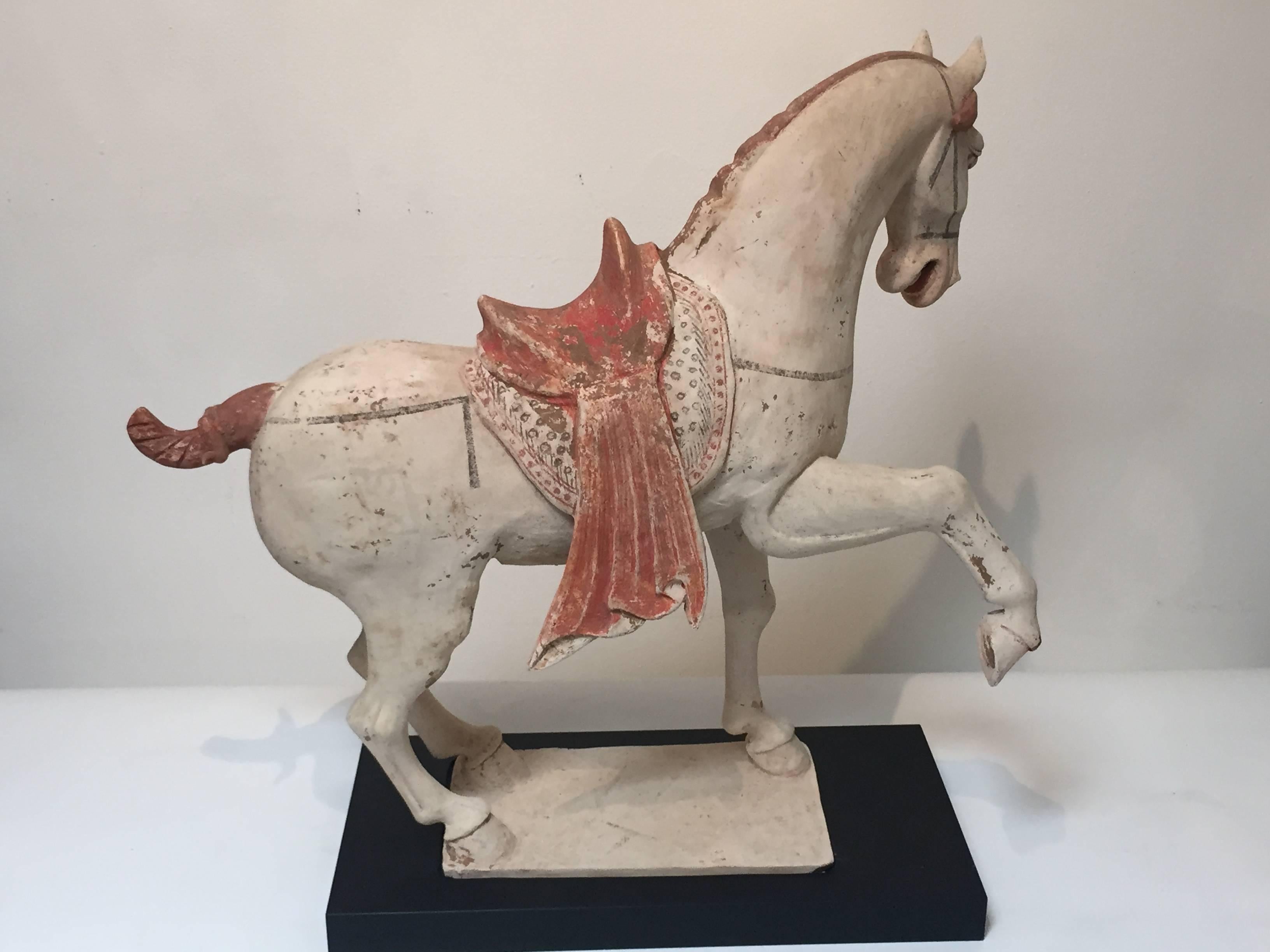 Offered by J R Richards
An exceptional pair of Tang Dynasty prancing horses. Made from white pottery, these prancing horses represent the finest in Tang dynasty craftsmanship.
Decorated with long manes, blanketed saddles, and bell shaped medallions,