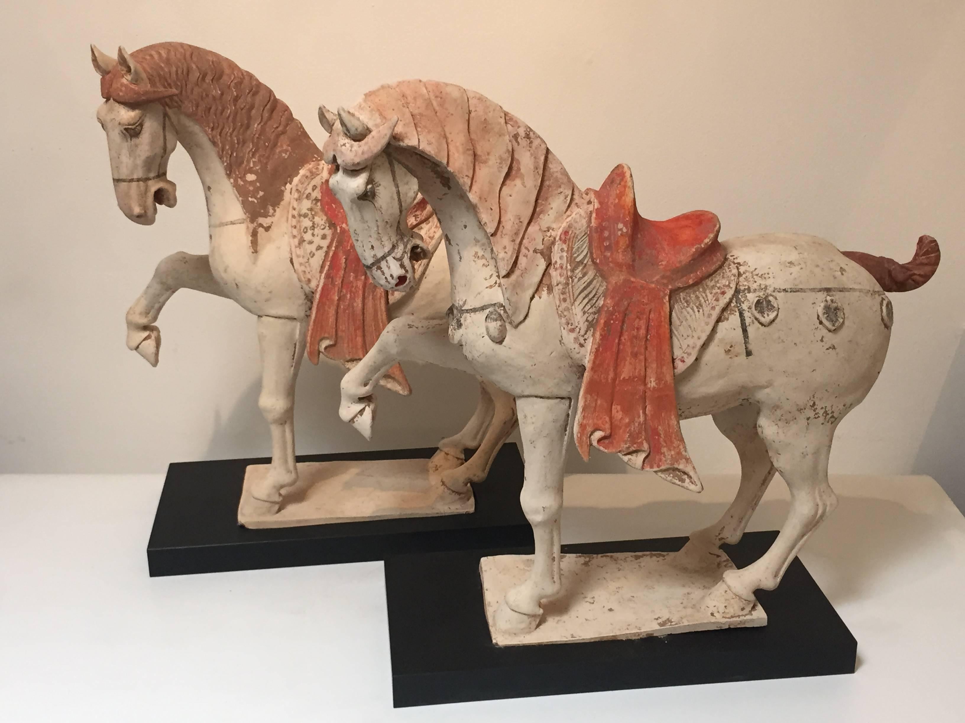 tang dynasty horse for sale