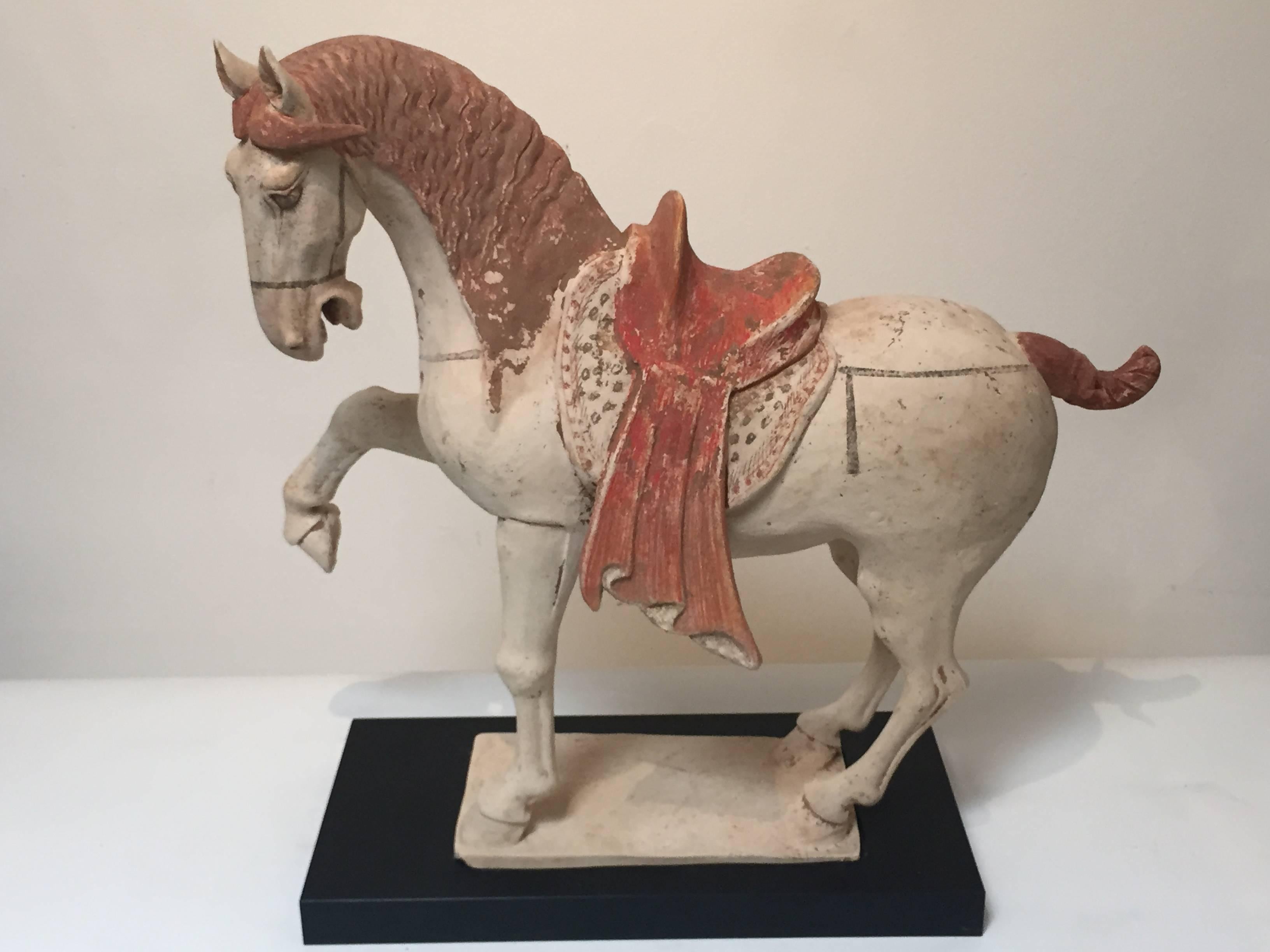 Pair of 8th Century Tang Dynasty Prancing Horses In Good Condition For Sale In Los Angeles, CA