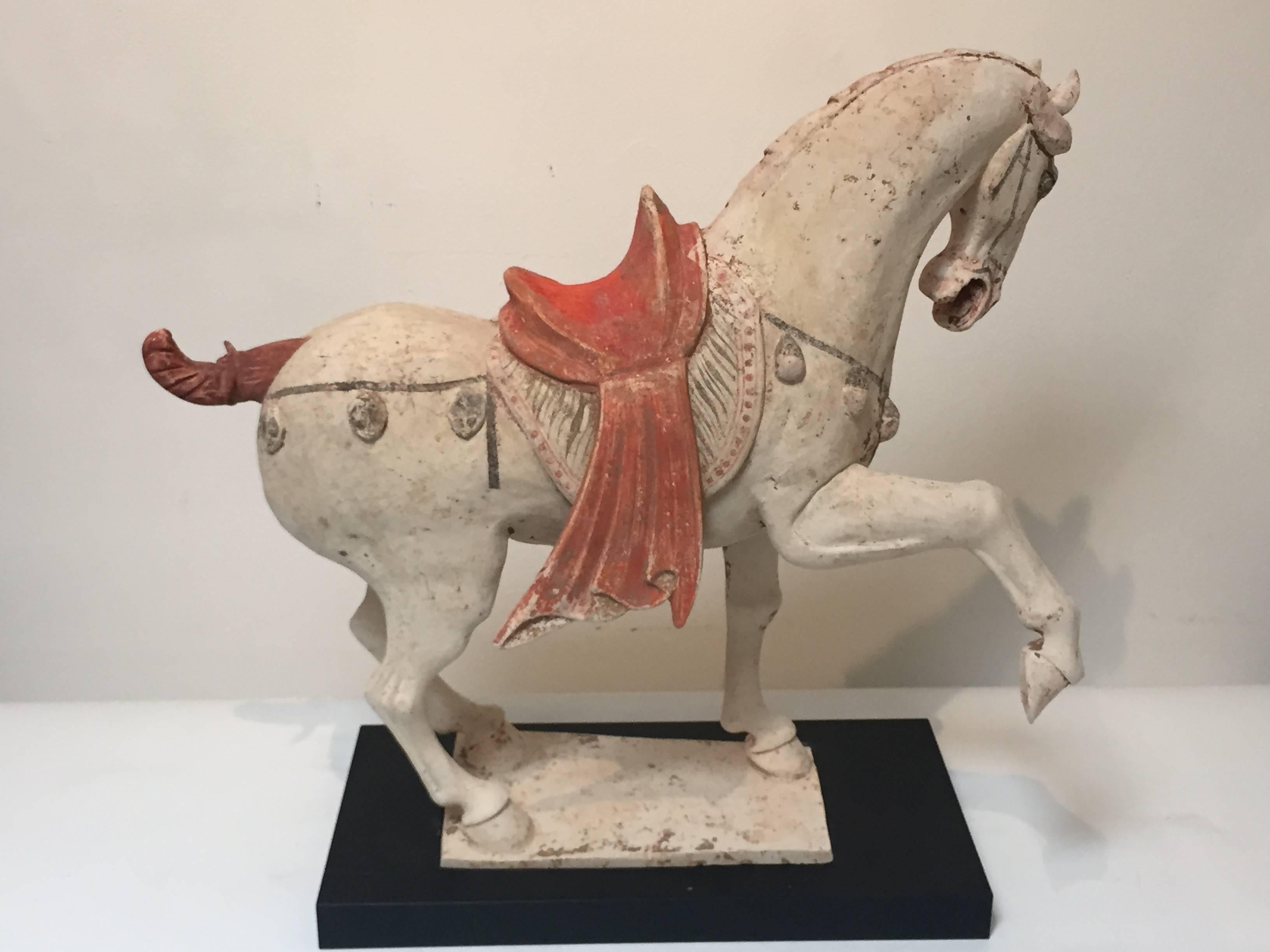 Pair of 8th Century Tang Dynasty Prancing Horses For Sale 1