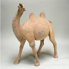 8th Century Large Tang Dynasty Camel