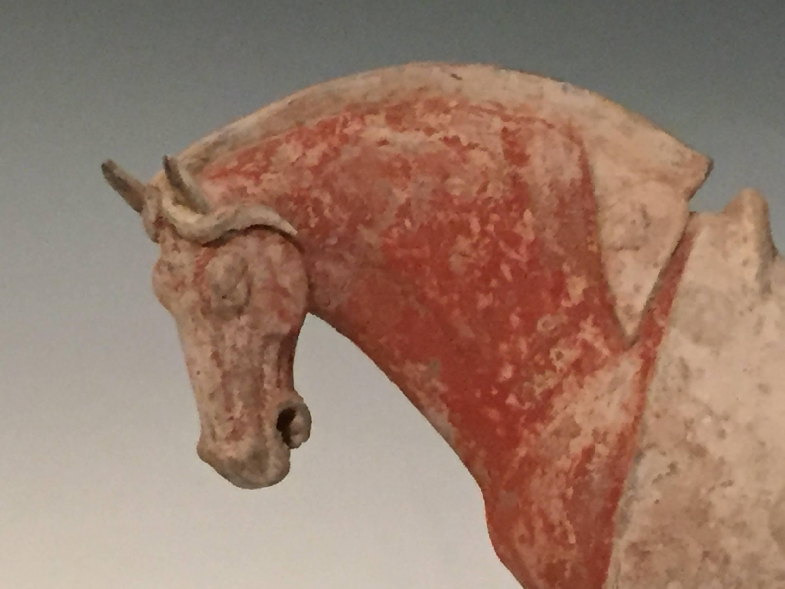 han dynasty horse for sale