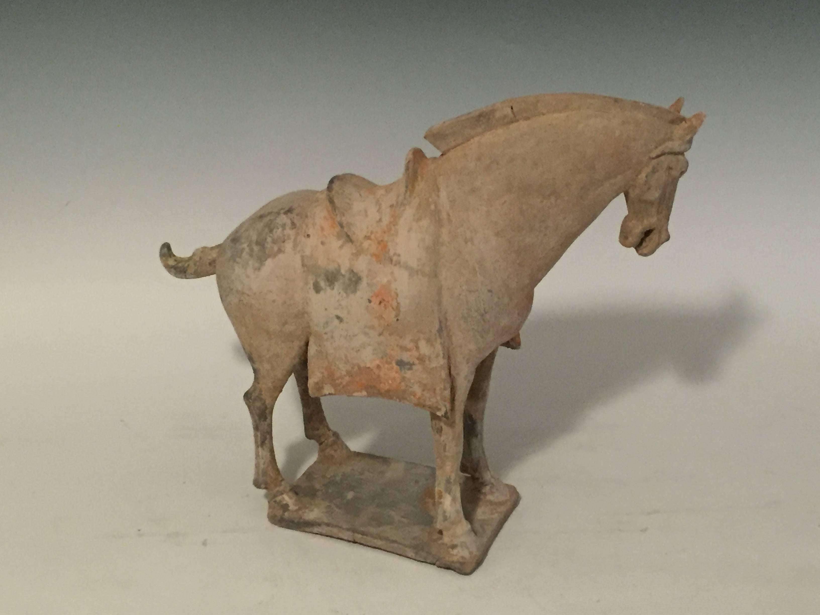 Pair of Antique Pottery Horses From The Tang Dynasty For Sale 1