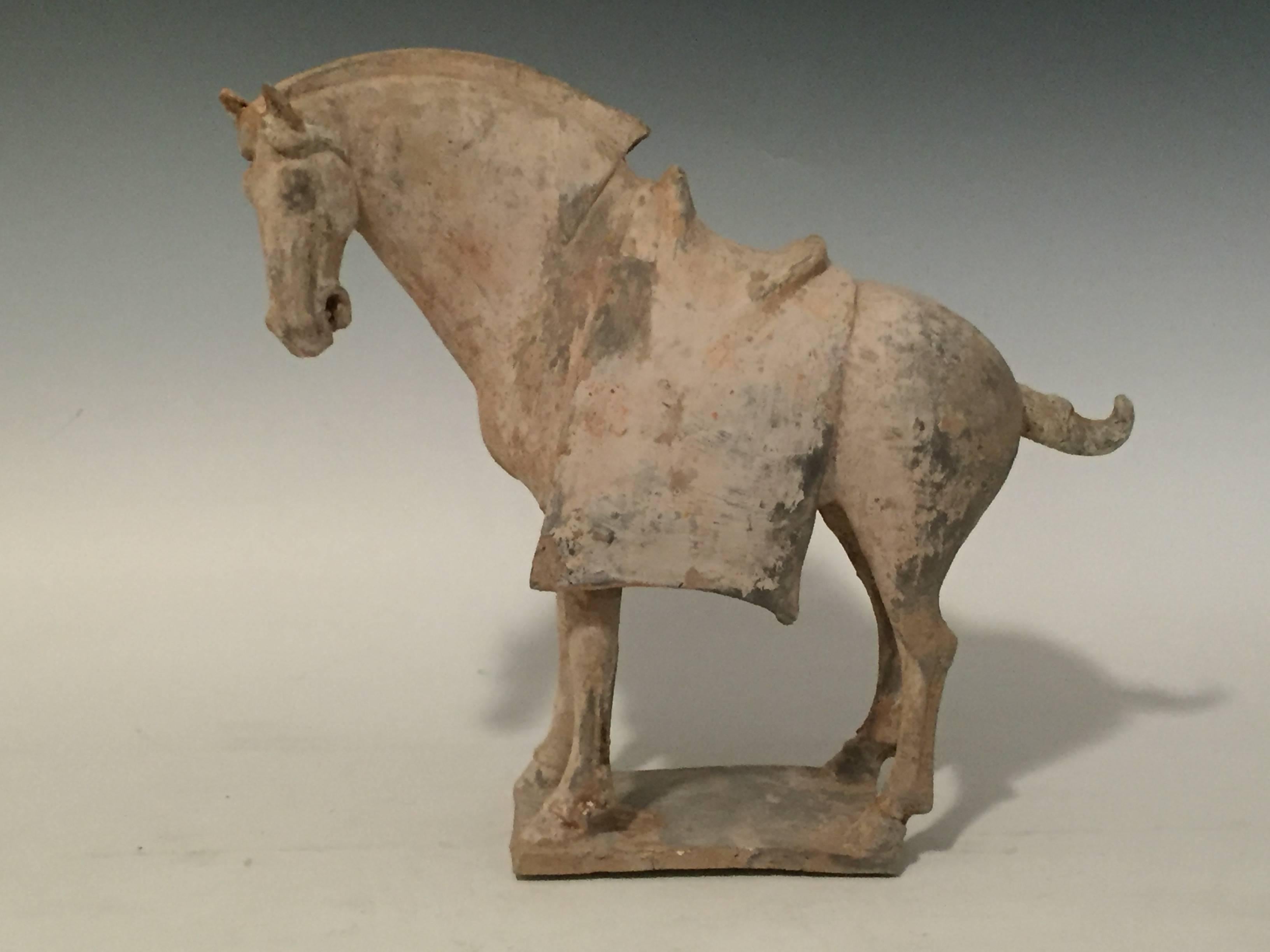 Pair of Antique Pottery Horses From The Tang Dynasty In Good Condition For Sale In Los Angeles, CA