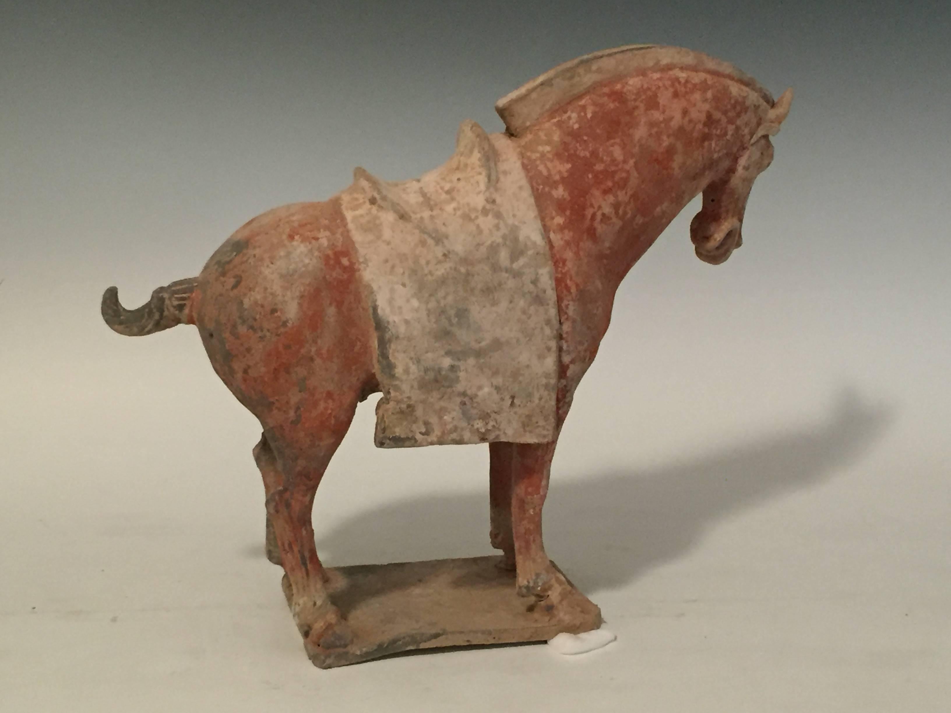 tang dynasty horse for sale