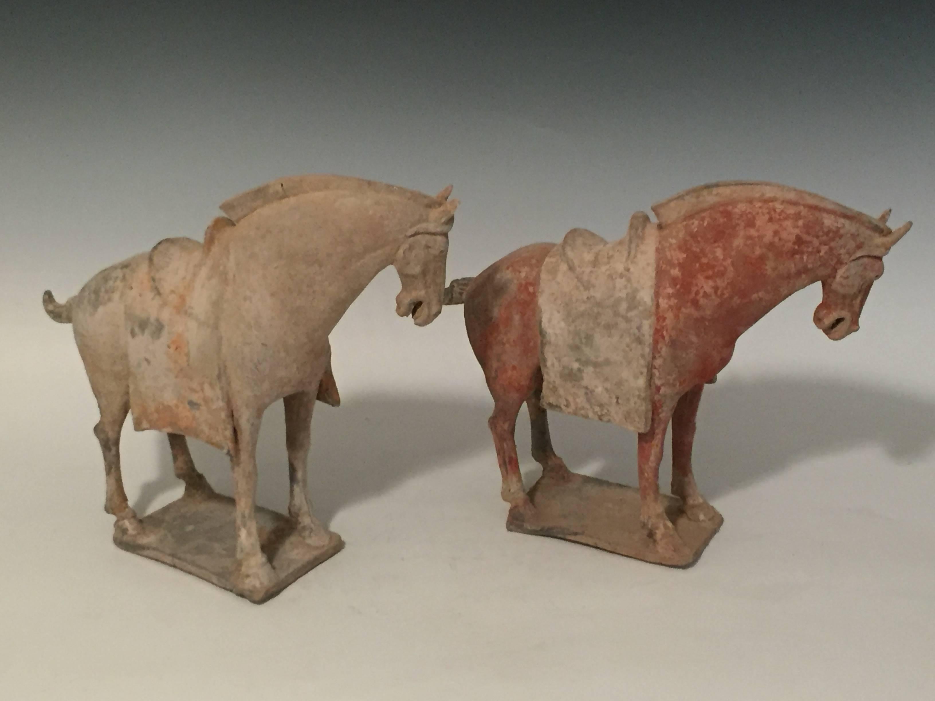 A pair of Tang dynasty (618-907 A.D.) Horses. 
Standing four square on bases.
Both horses still have some original pigment. One with a off-white pigment, and the other has a red pigment. Each with head slightly turned to the left.
14