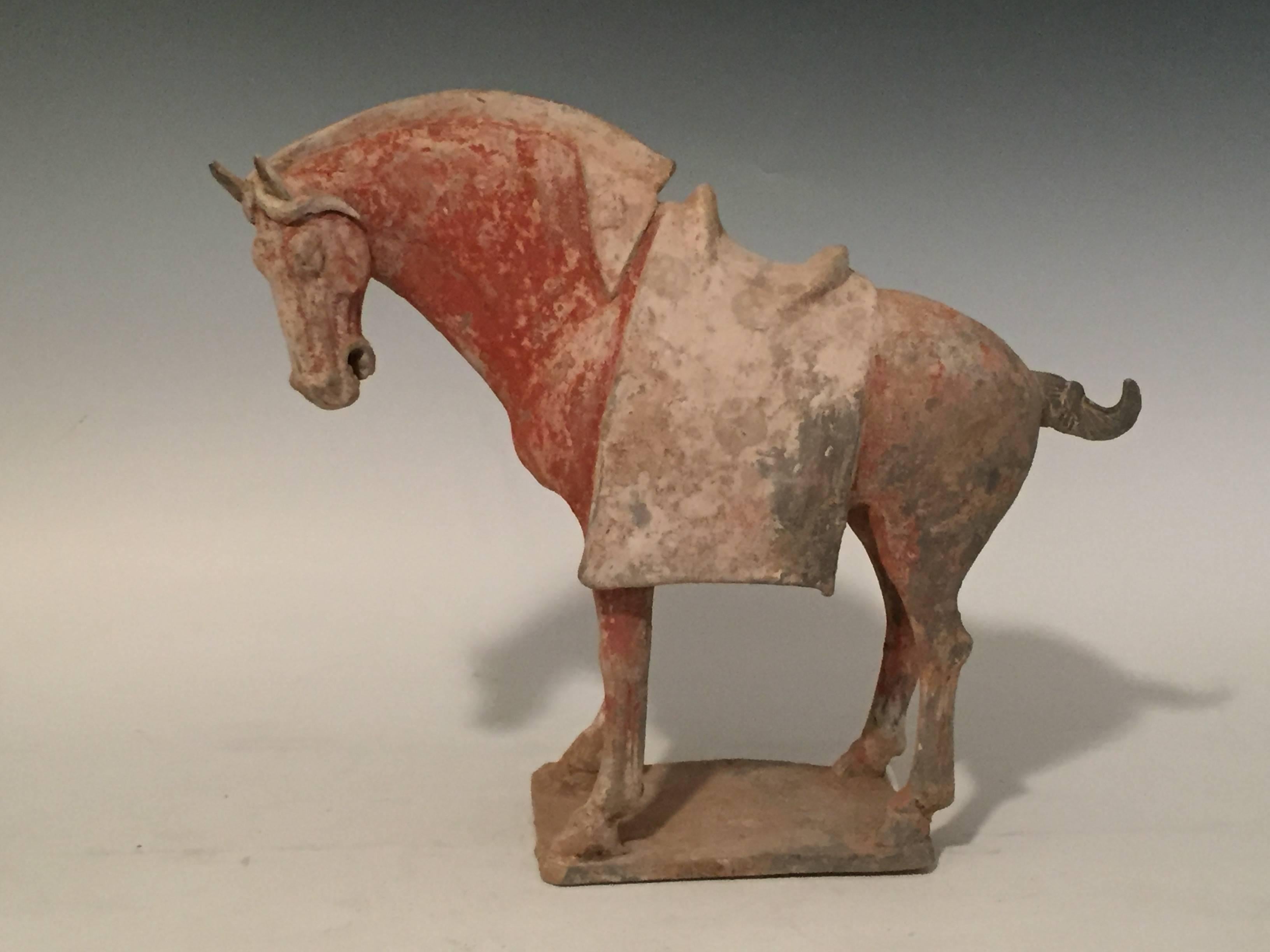 Chinese Pair of Antique Pottery Horses From The Tang Dynasty For Sale